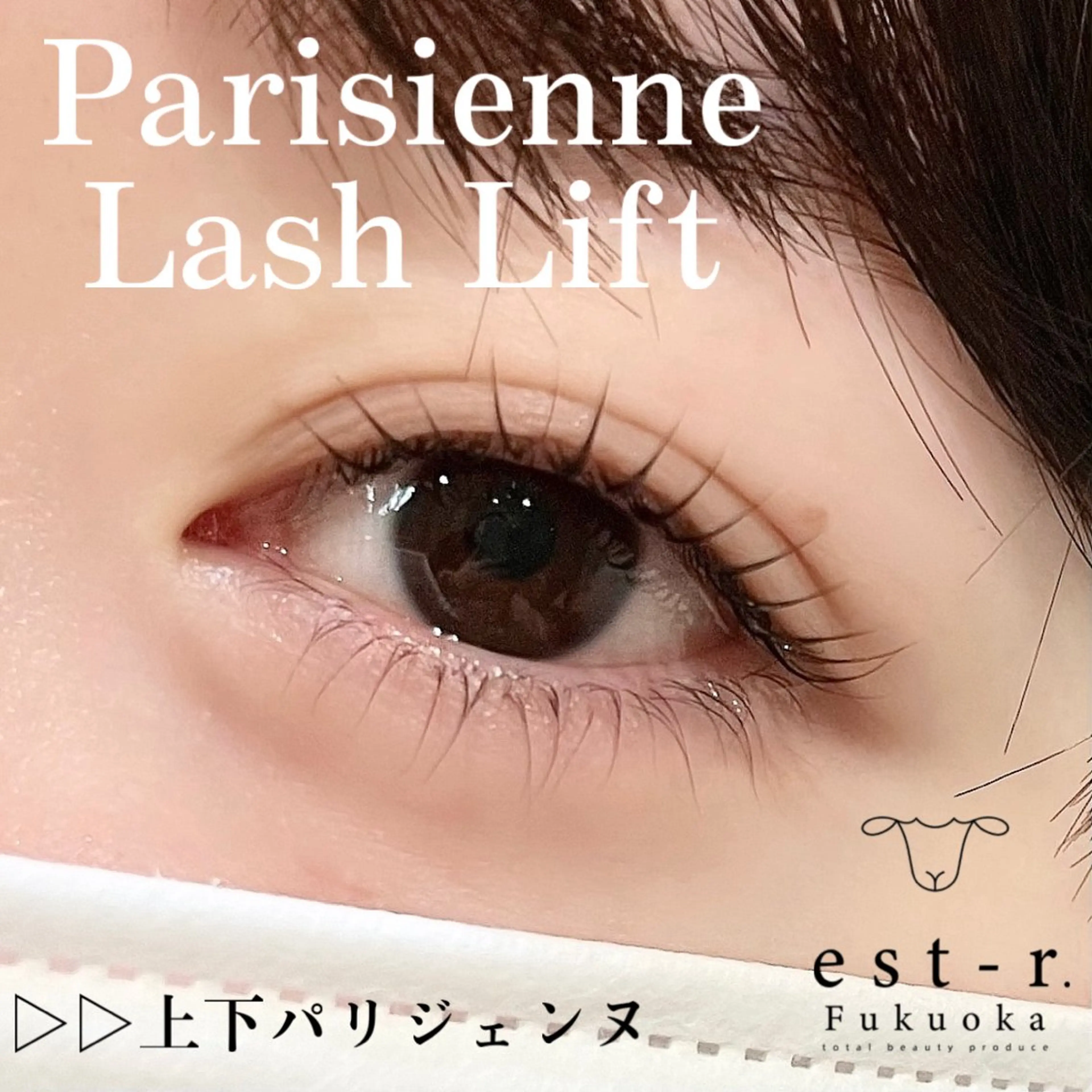 マツエク・マツパ 束感まつ毛 韓国風マツエク パリジェンヌラッシュリフト 一重×まつ毛パーマ ワンホンマツエク Riho/博多/ まつげパーマ/LEDのマツエク・マツパデザイン