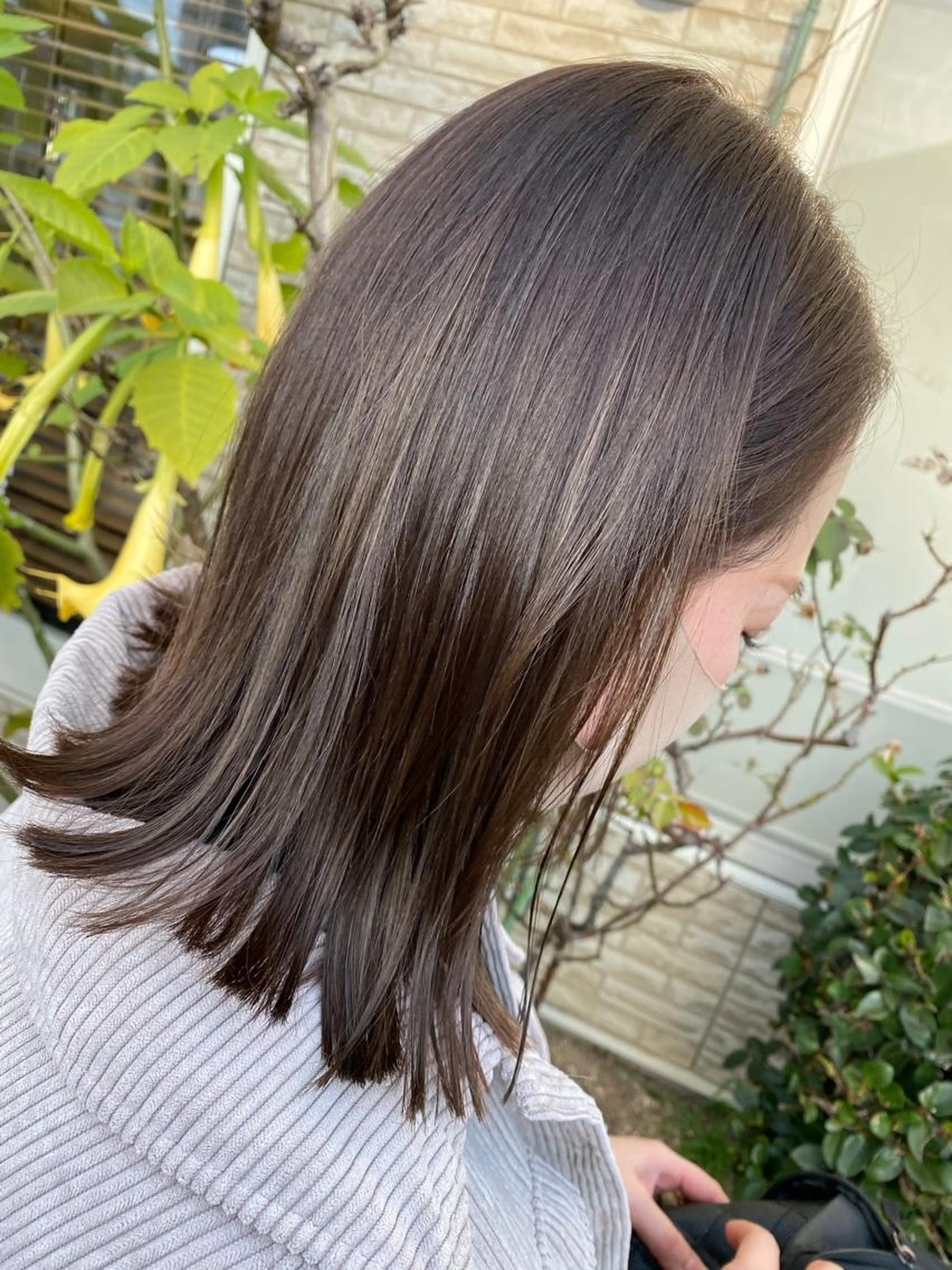 カット+透明感カラーの写真