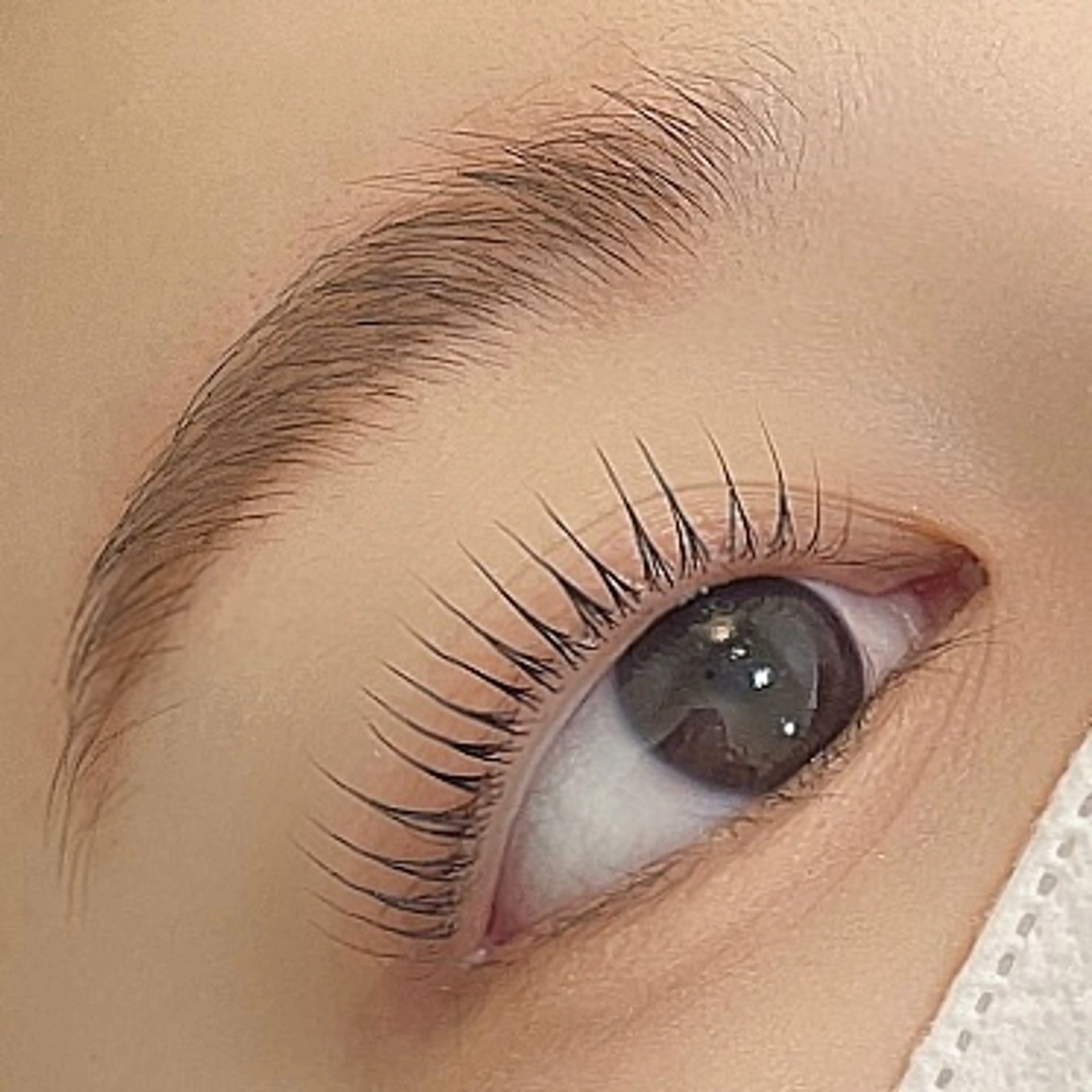 マツエク・マツパ 🎀Plaisir 《中野》 🎀マユのマツエク・マツパデザイン