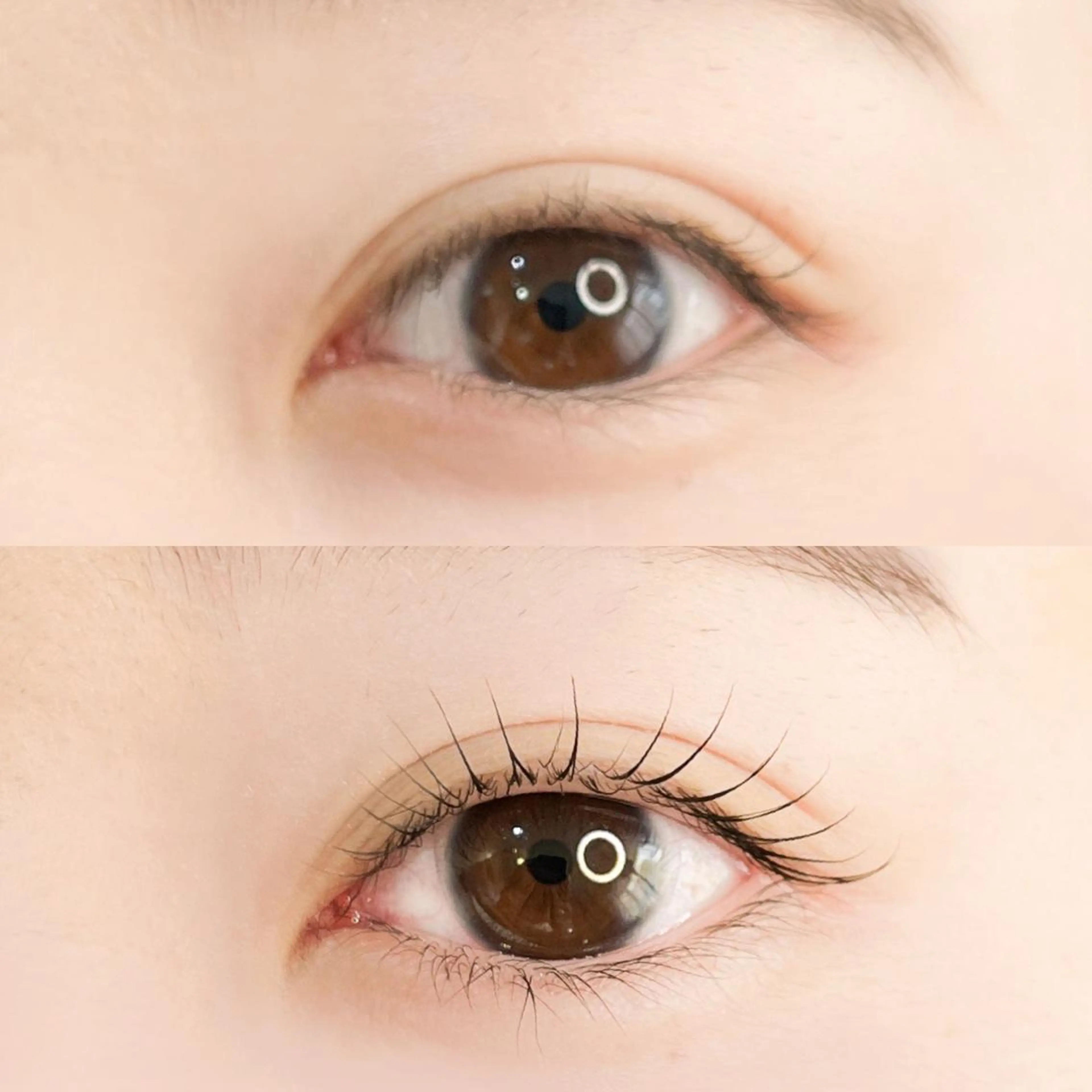 パーマ マツエク・マツパ アイブロウ マツパ 奥沢/自由が丘 Lien〈リアン〉のマツエク・マツパデザイン