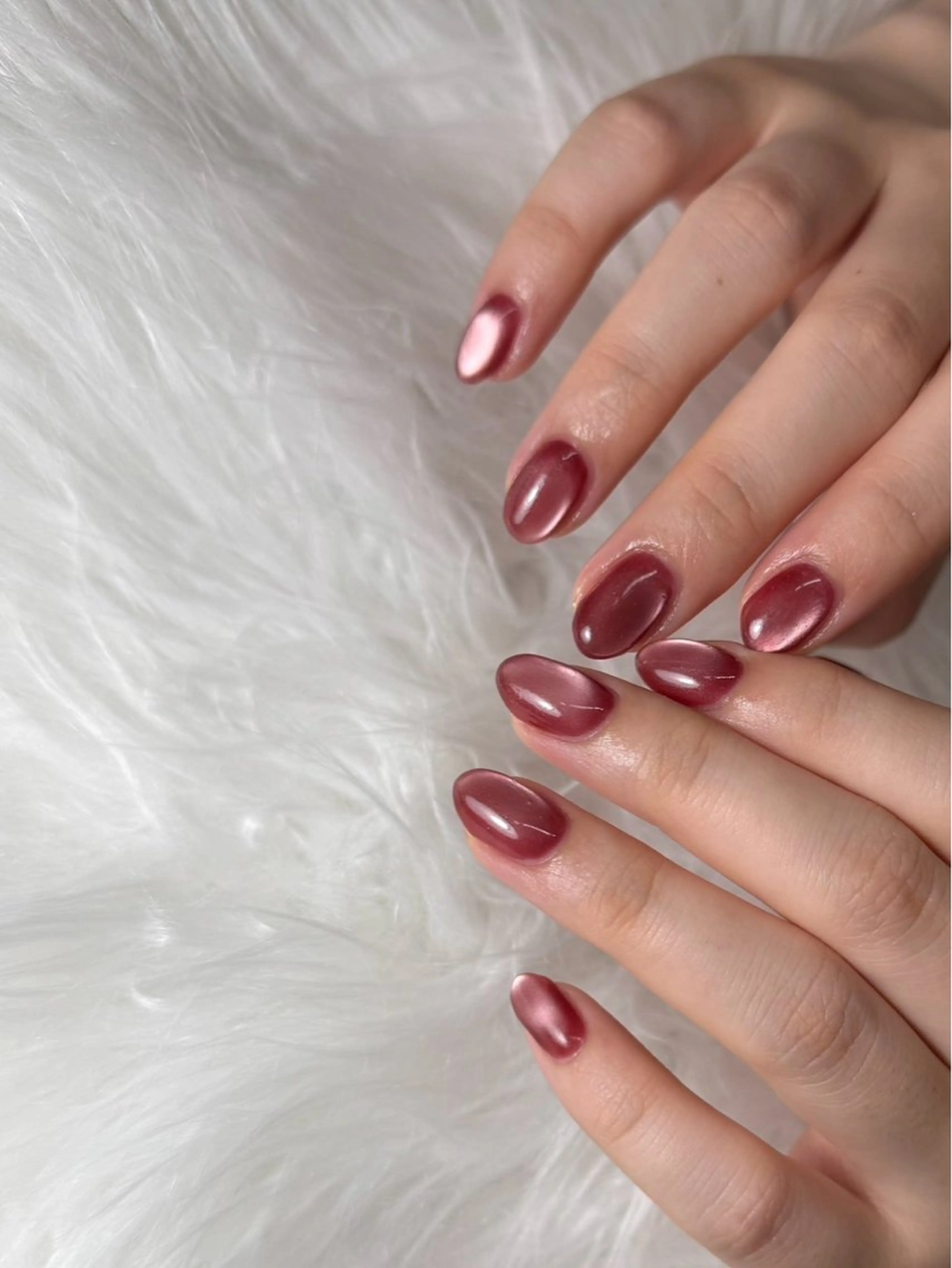 【オフ無】マグネット .⋆𝜗𝜚の写真