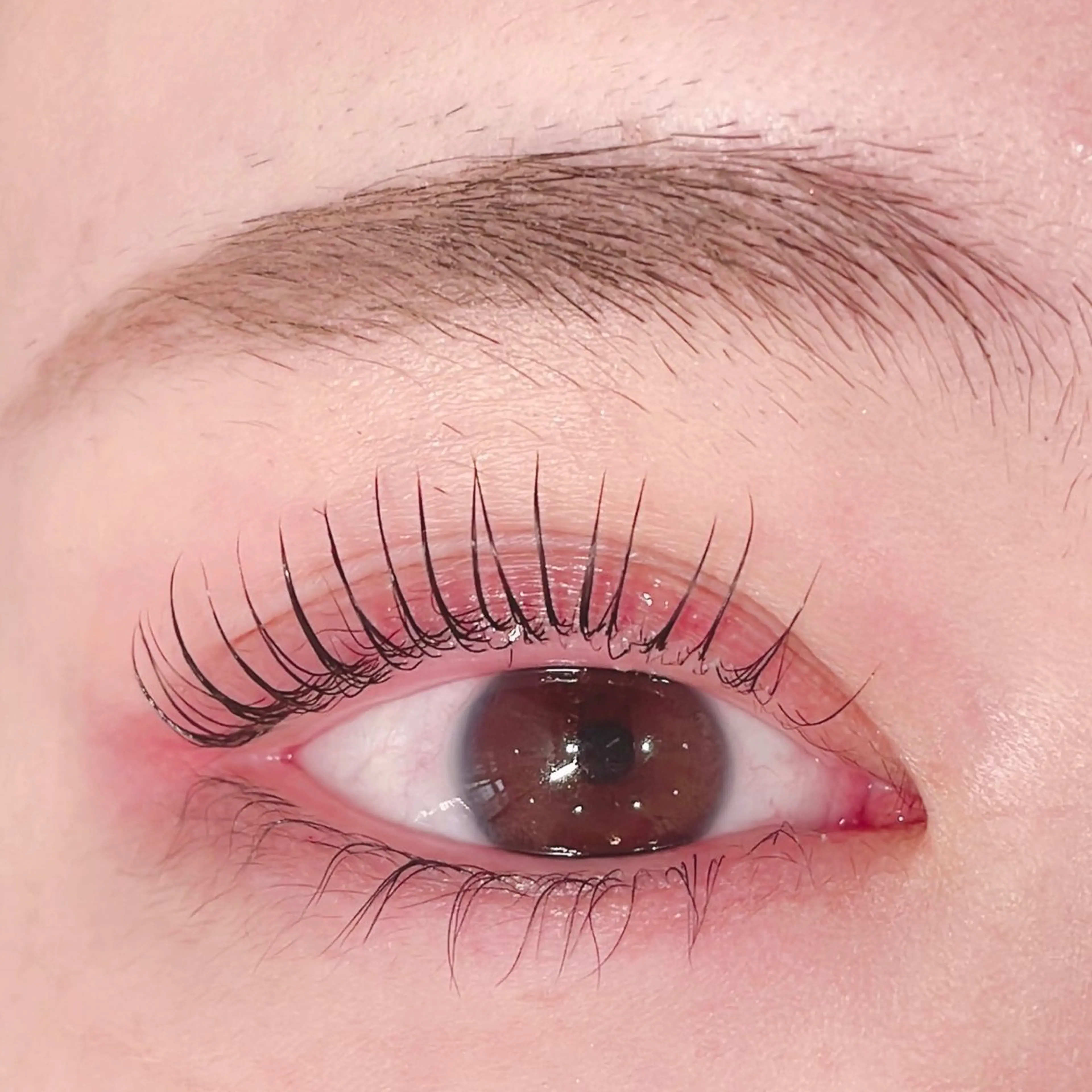 似合わせ次世代まつげカール⭐︎トリートメント付きの写真