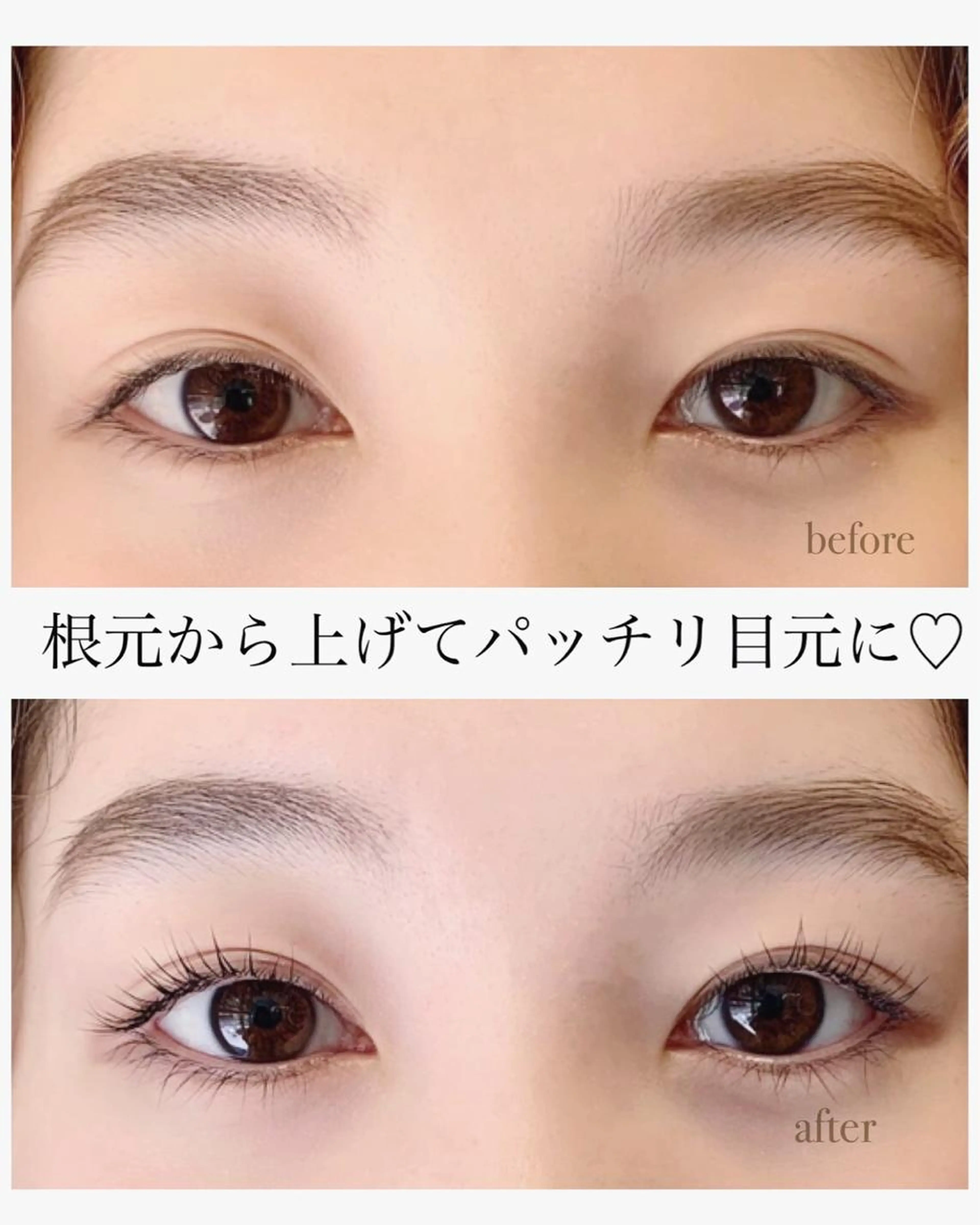 【ご新規様限定❗️Jrアイリストクーポン📖】まつ毛パーマ✨¥3300の写真