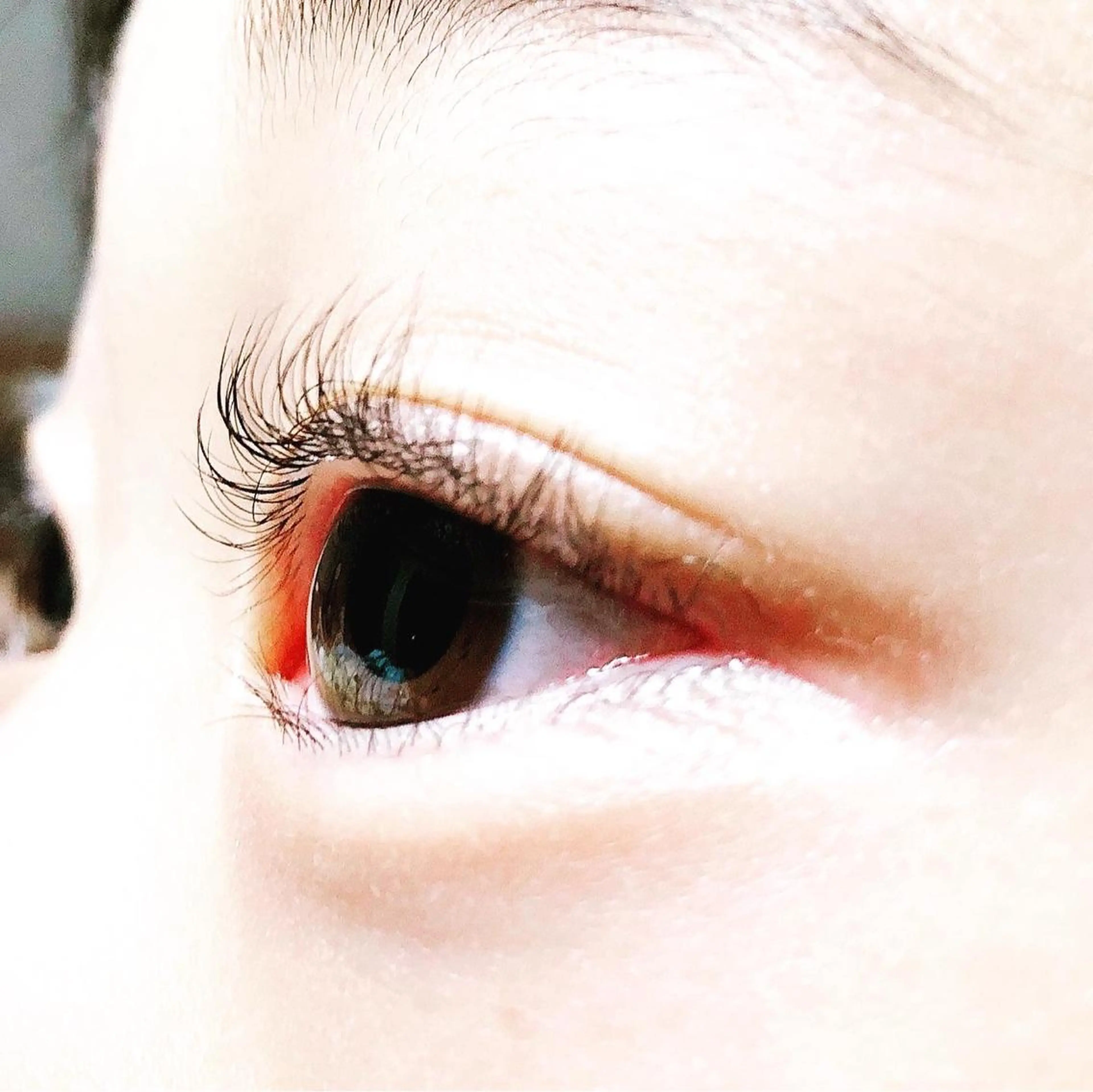 マツエク・マツパ Cカール ナチュラル 一重×まつ毛パーマ Belleeyes_ kubotaのマツエク・マツパデザイン