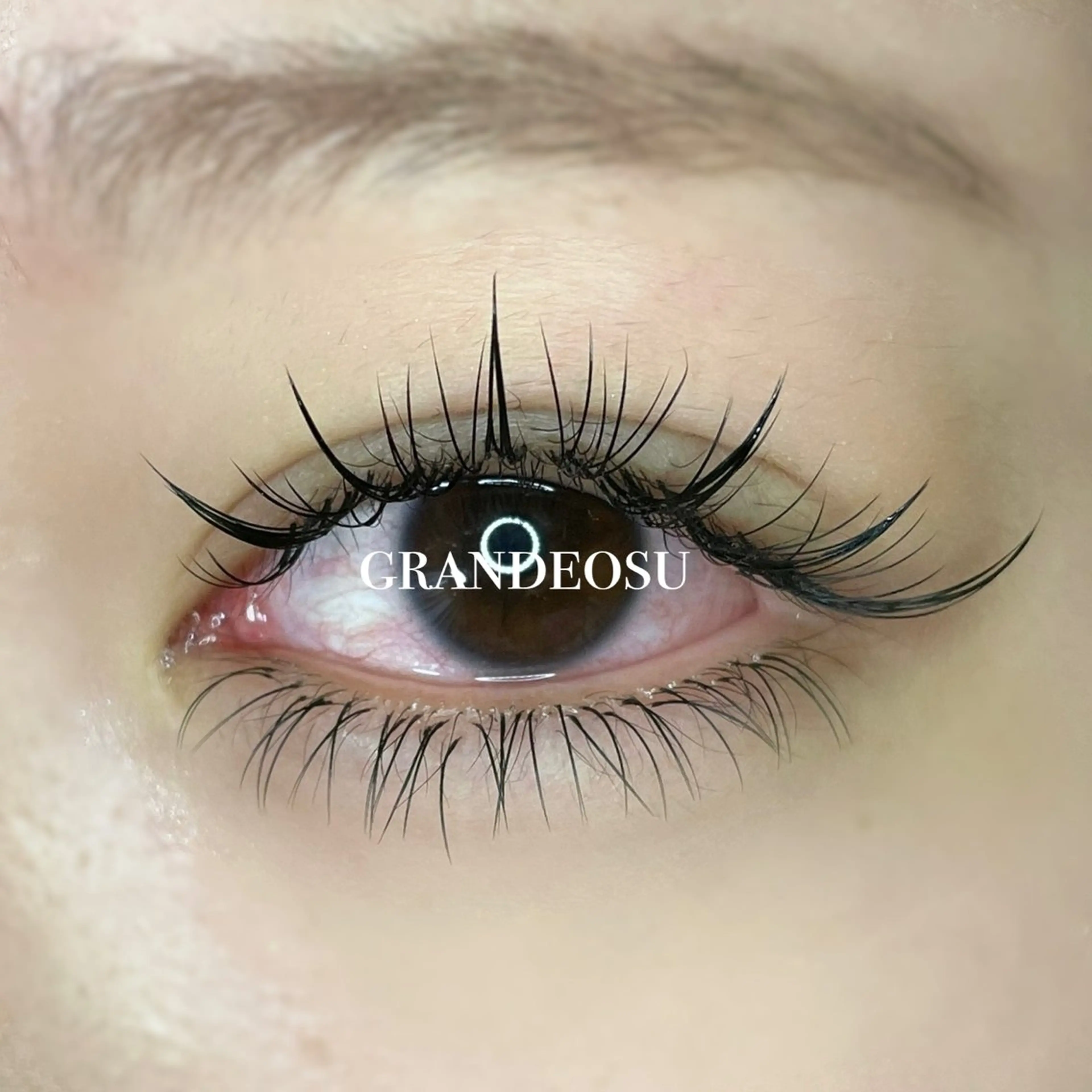 マツエク・マツパ ワンホンマツエク マツエク GRANDE OSU 藤原/eye店長のマツエク・マツパデザイン