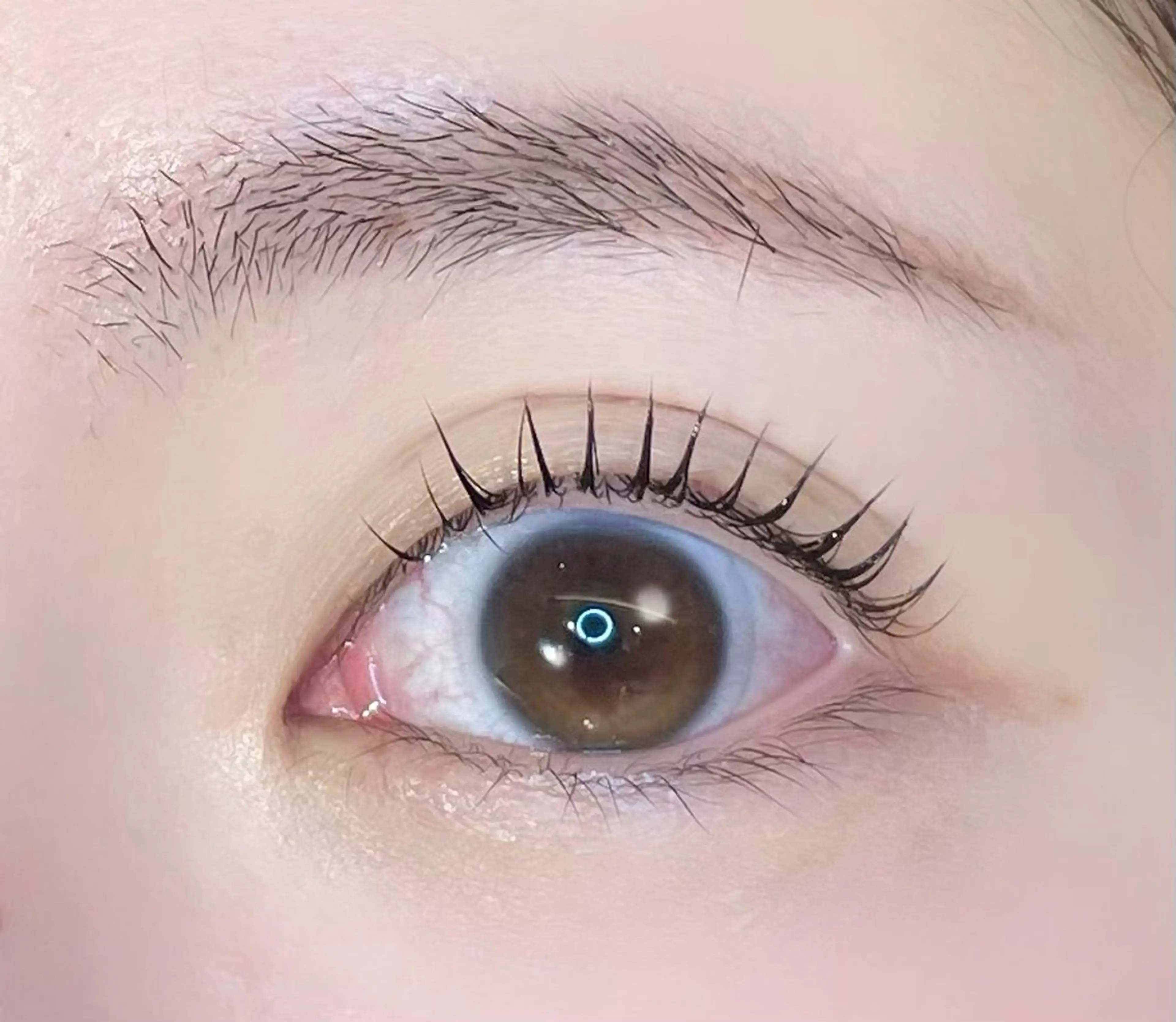 マツエク・マツパ マツパ まつパ/マツエク🤎 艶カラー/ゆり♡⃛のマツエク・マツパデザイン