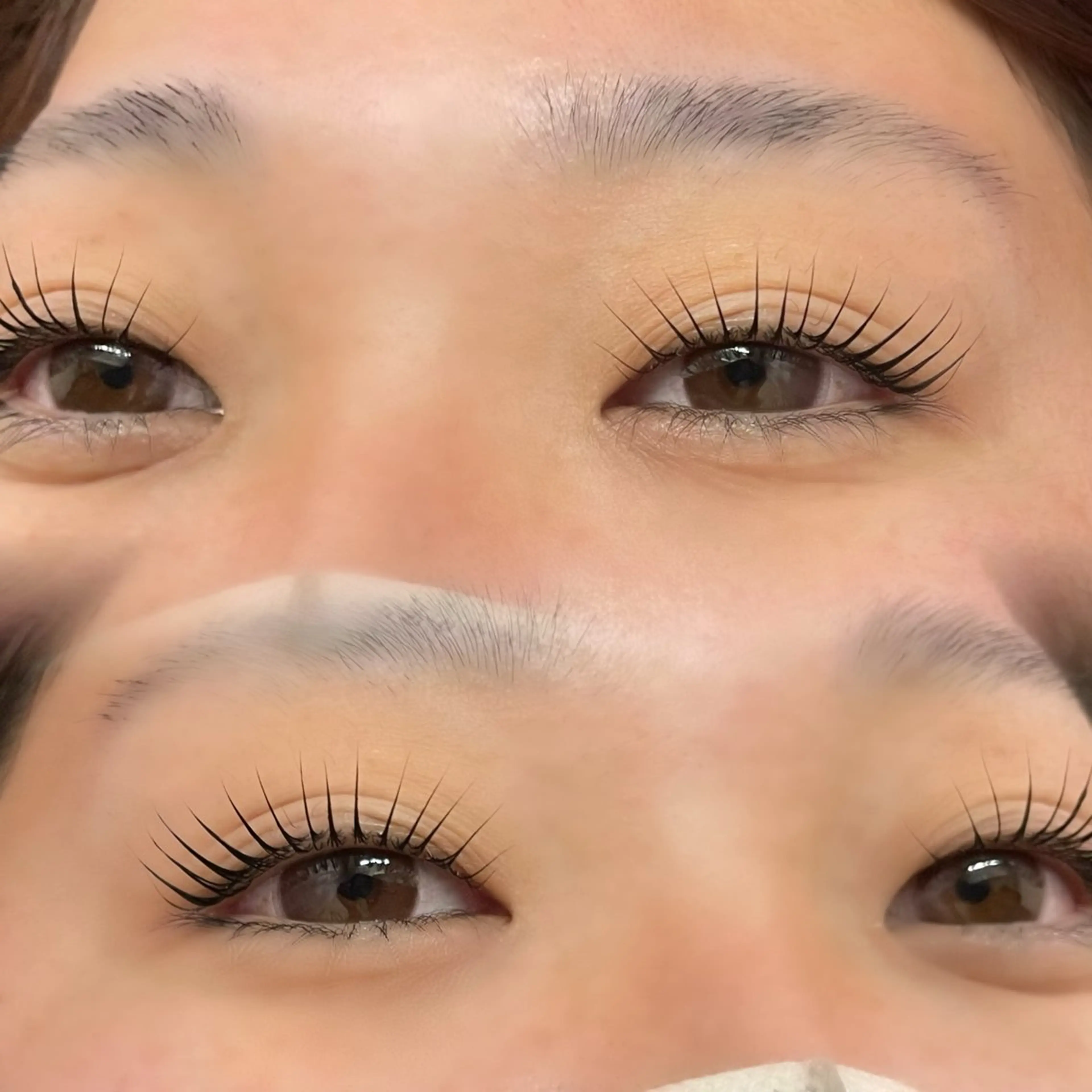 マツエク・マツパ マツパ MIU Rimの眉毛・アイブロウイメージ