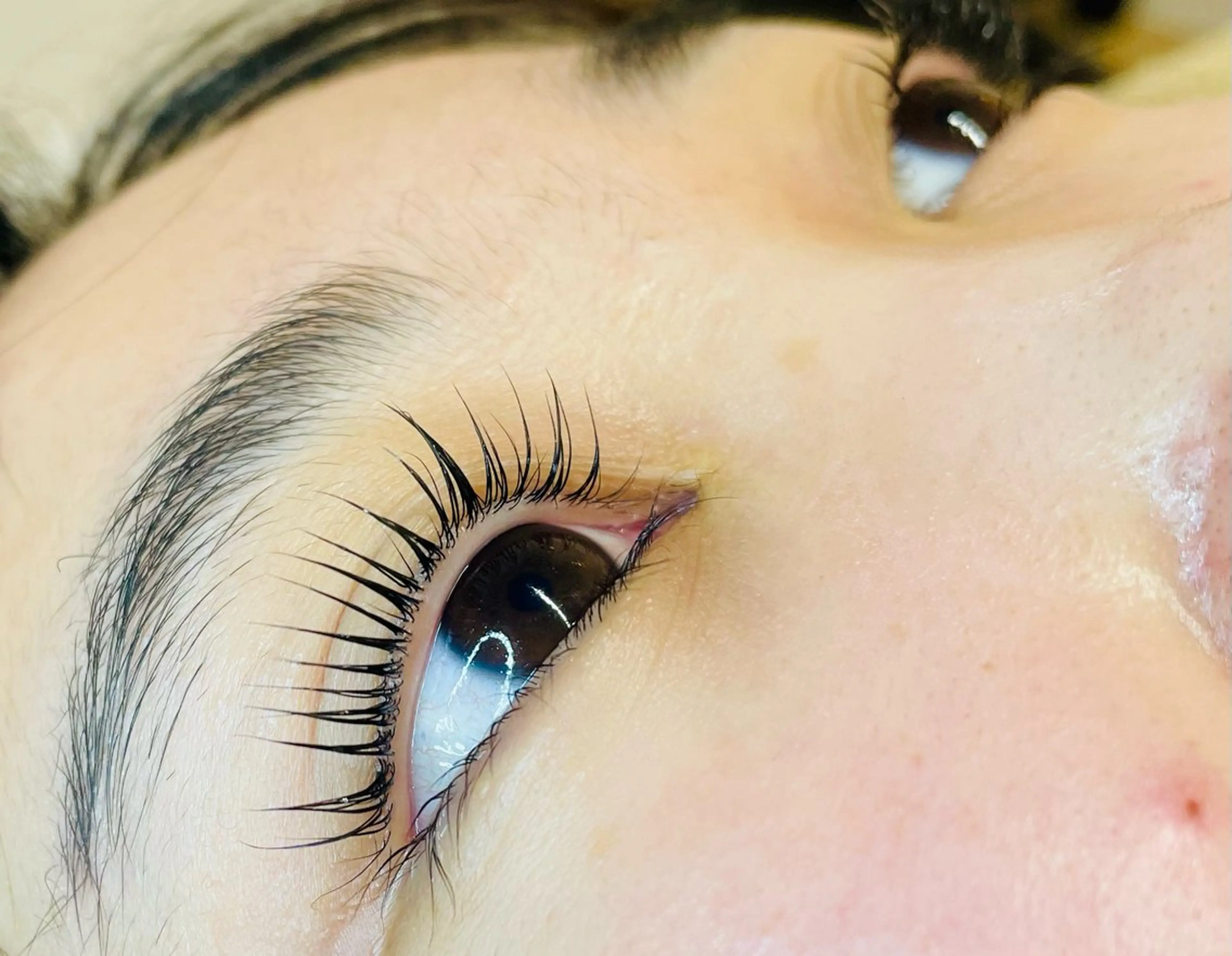 マツエク・マツパ パリジェンヌラッシュリフト 🌼AI 🌼の眉毛・アイブロウイメージ