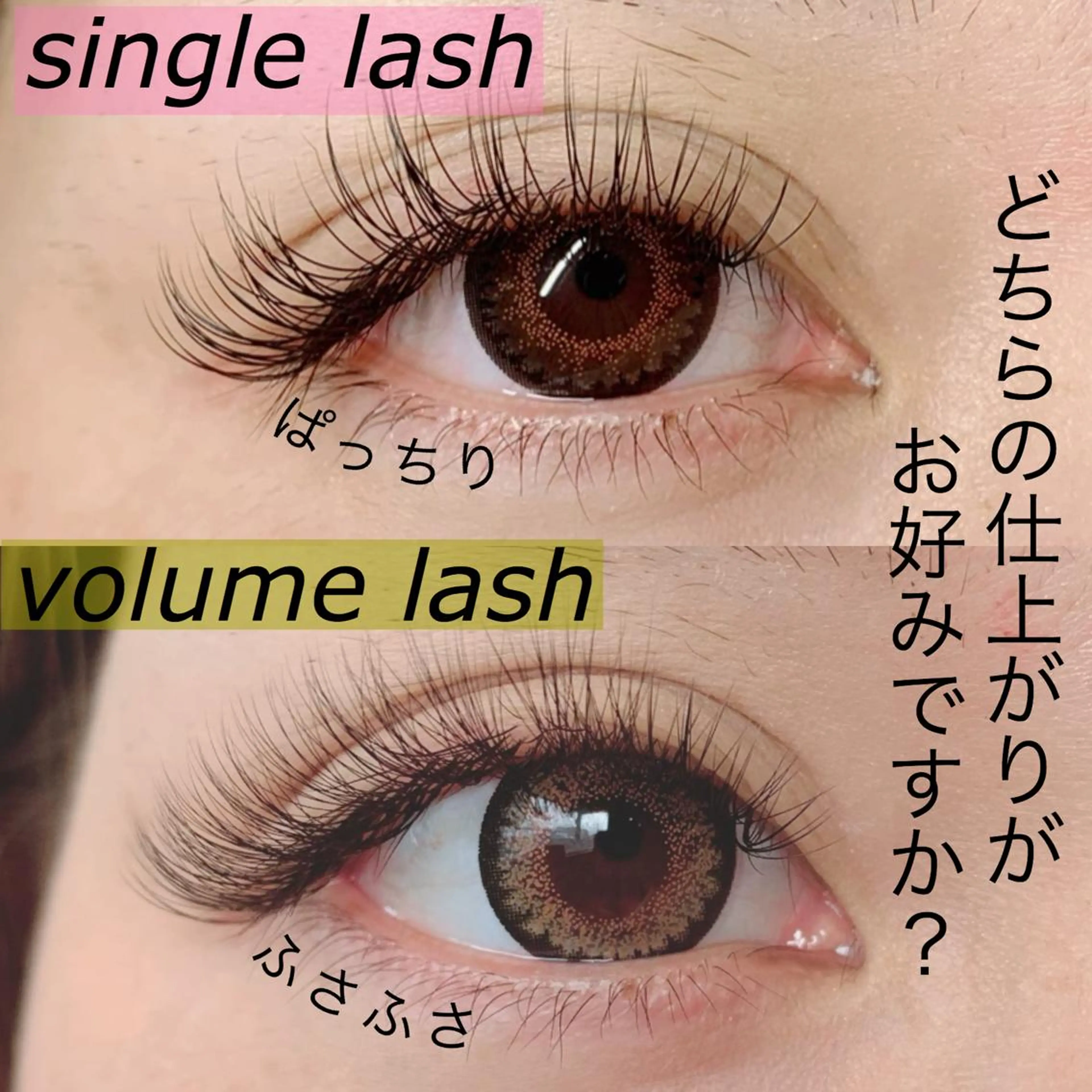 マツエク・マツパ Little River所属・Little Riverのマツエク・マツパデザイン