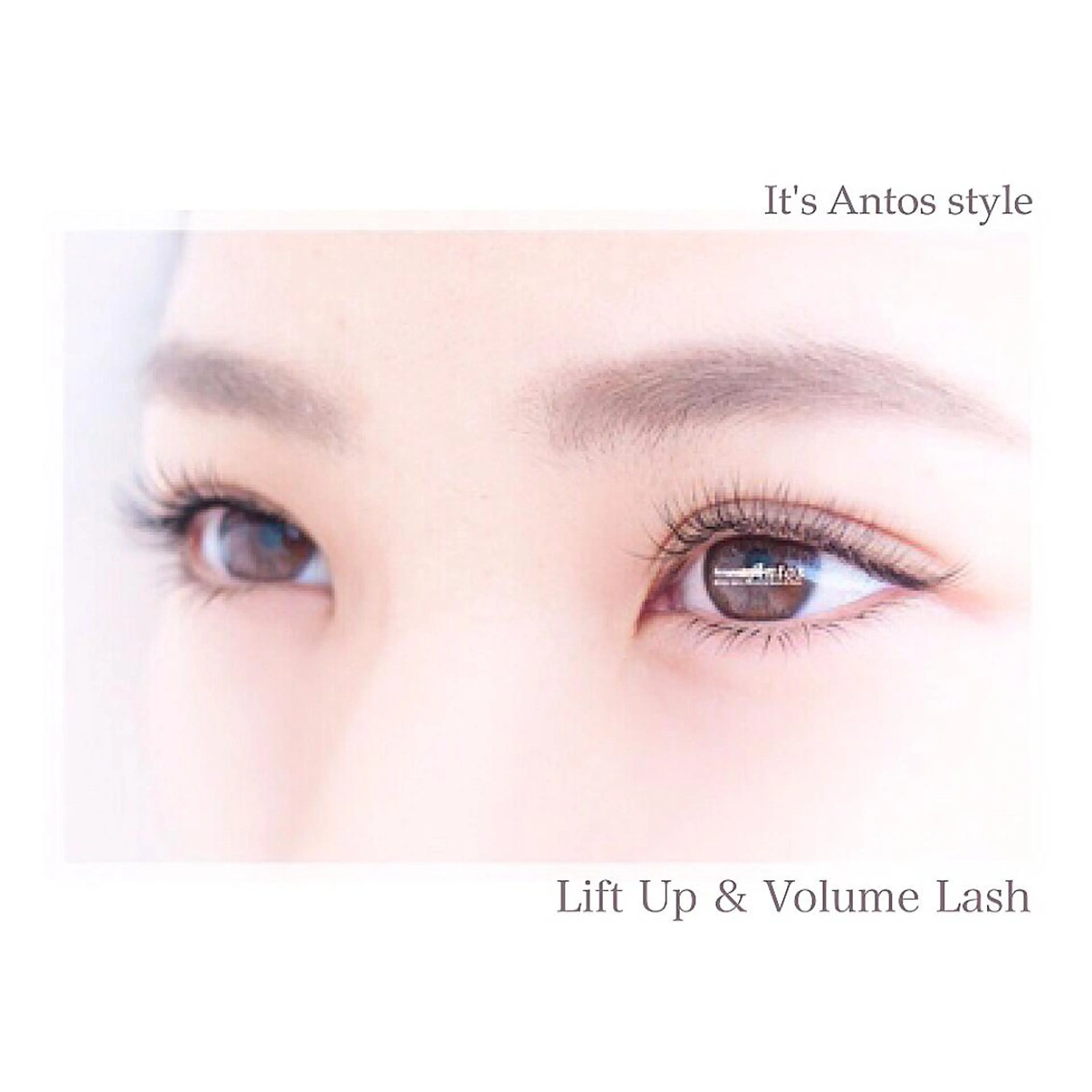 マツエク・マツパ ボリュームラッシュ まつげ&眉の専門店 アントススタッフの眉毛・アイブロウイメージ