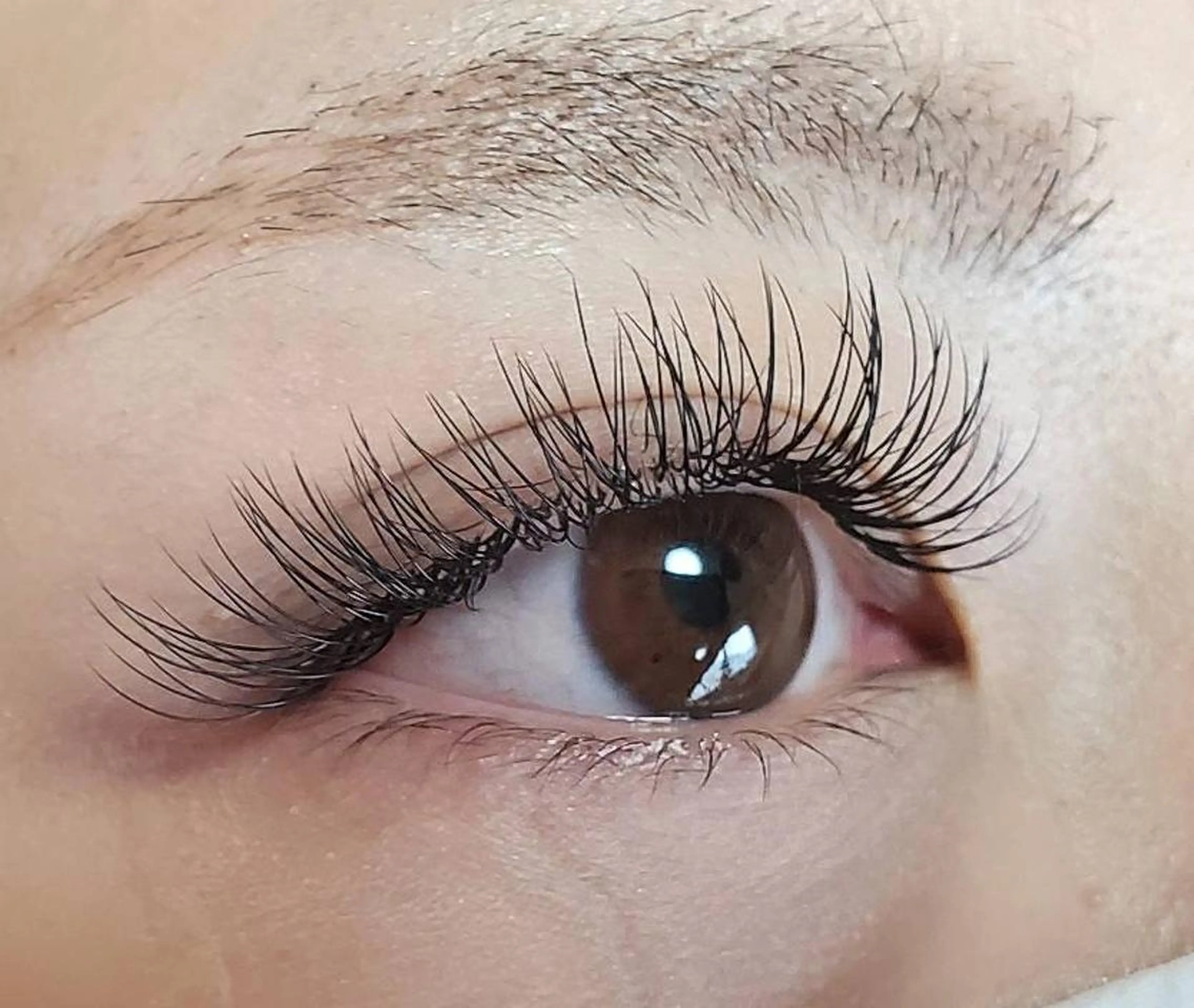 初回まつ毛エクステ付け放題の写真