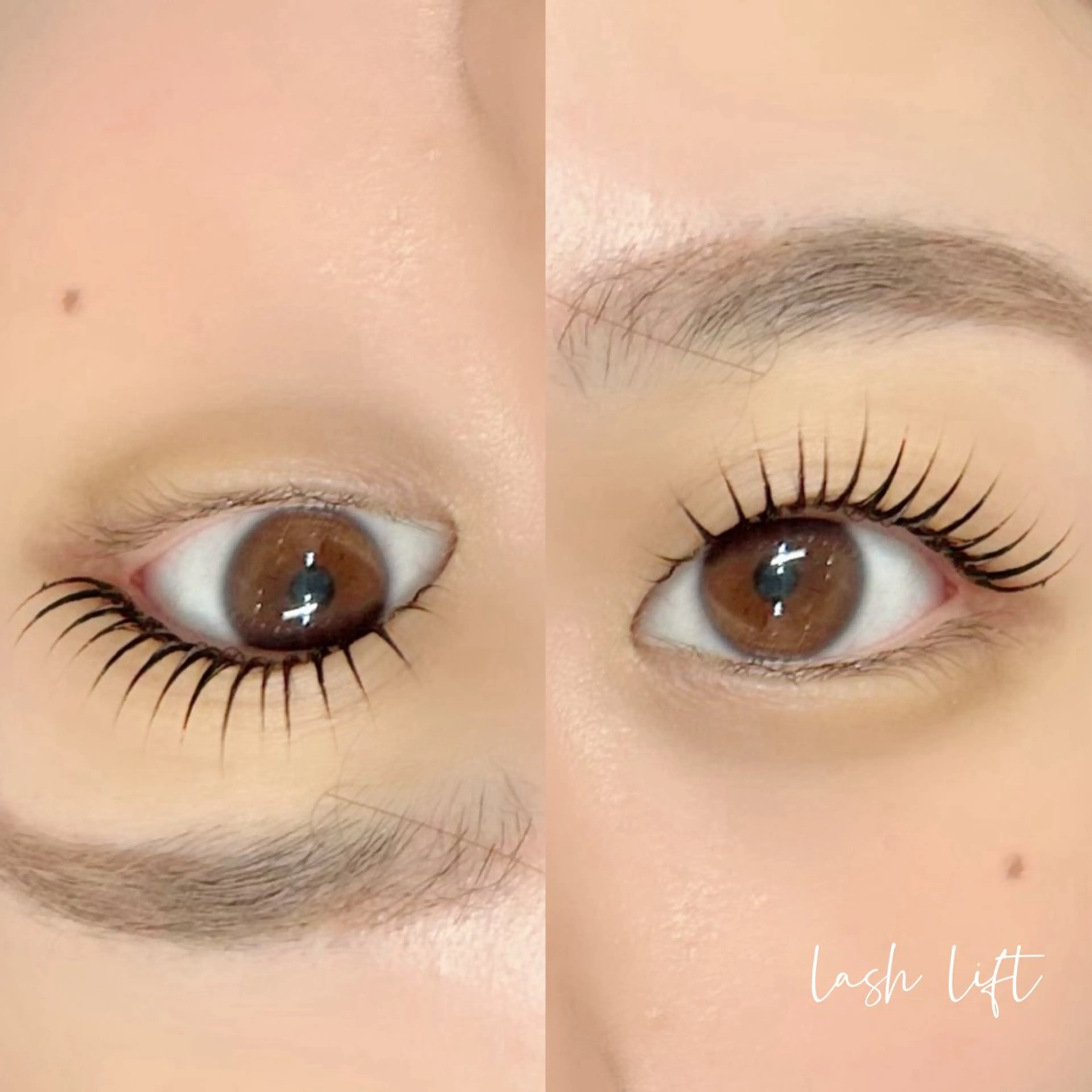 本日限定‼️選べるデザインまつ毛パーマ🎶の写真