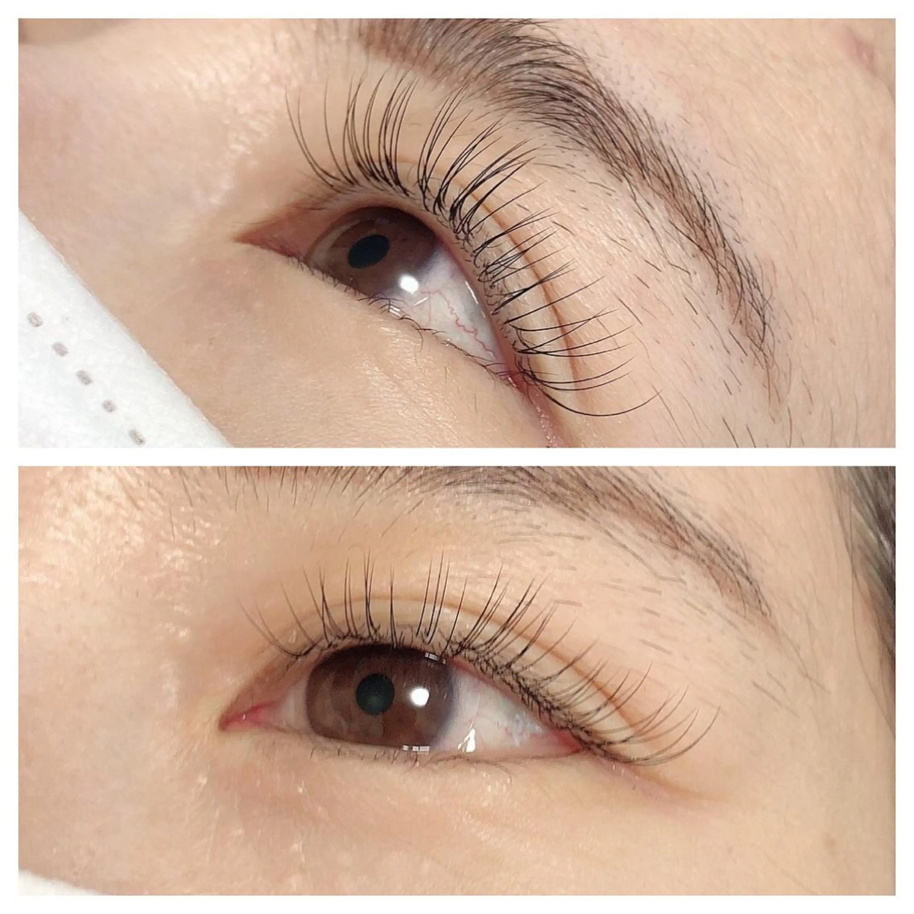 マツエク・マツパ Cカール セーブル マツエク 鈴木 恭子のその他イメージ