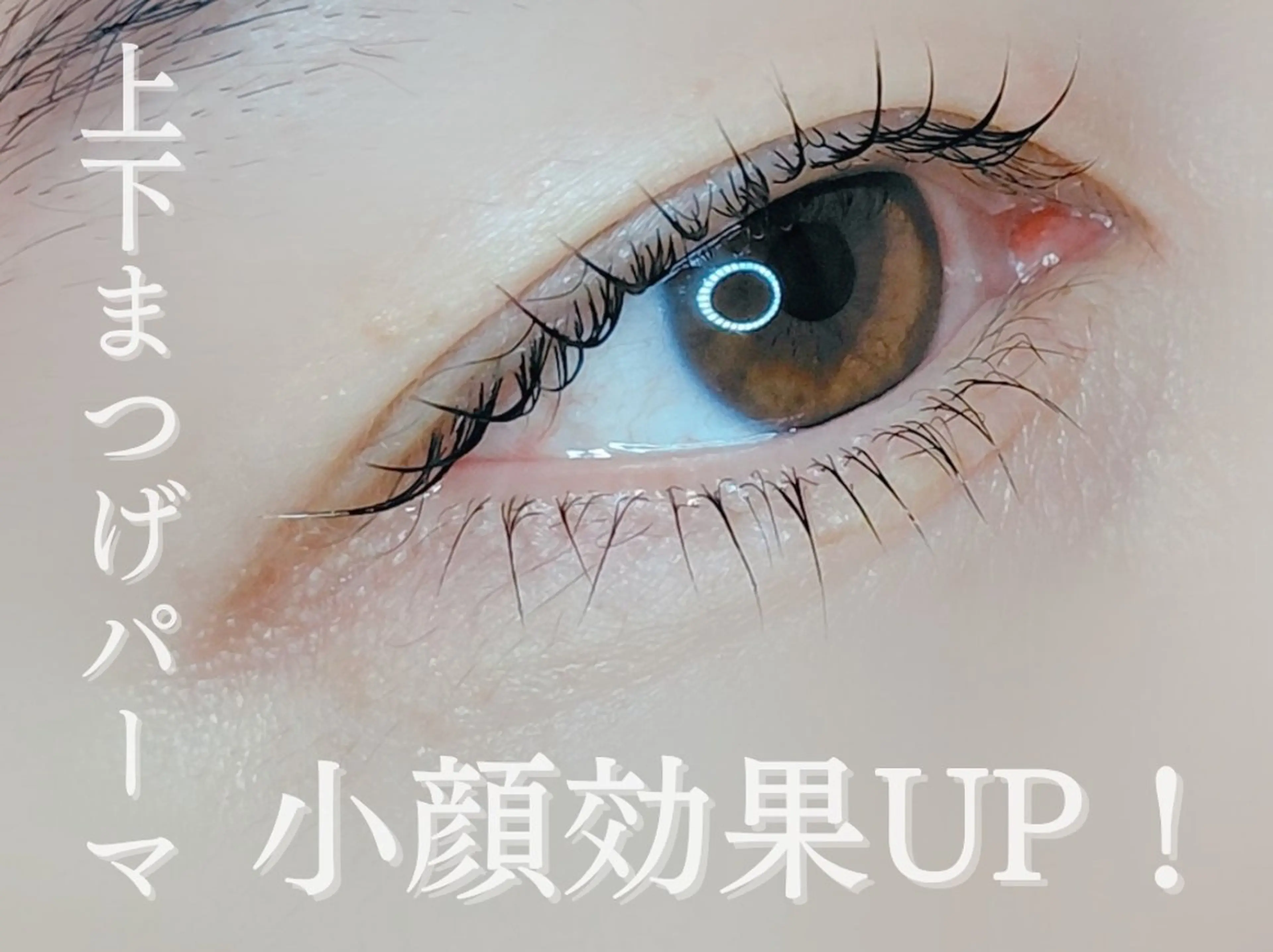 【新規OPEN価格】上下まつげパーマで小顔効果UP！￥7600→￥5900の写真