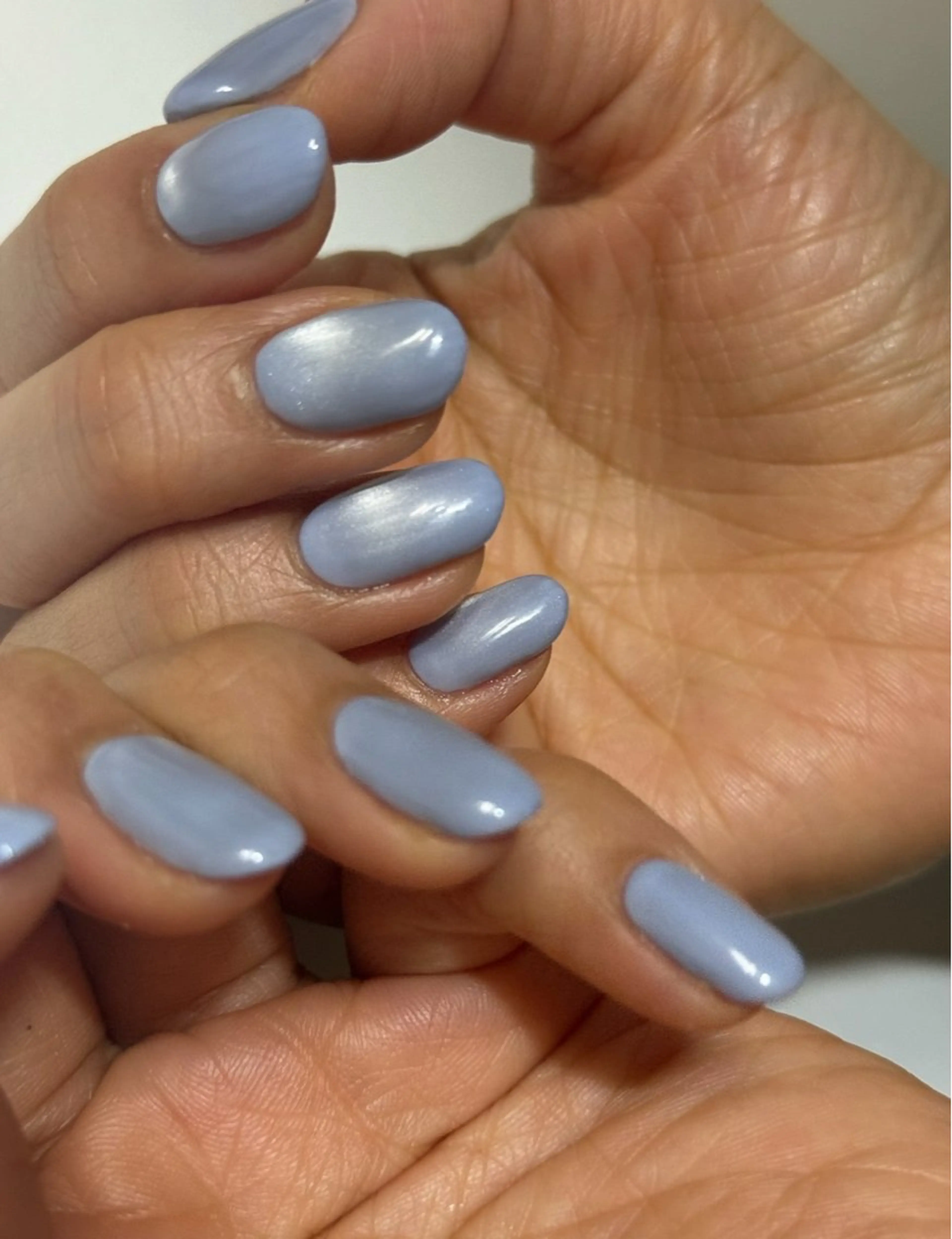 🐥マグネットorフラッシュ(オフ込み)🐥                         当日限定‼️の写真