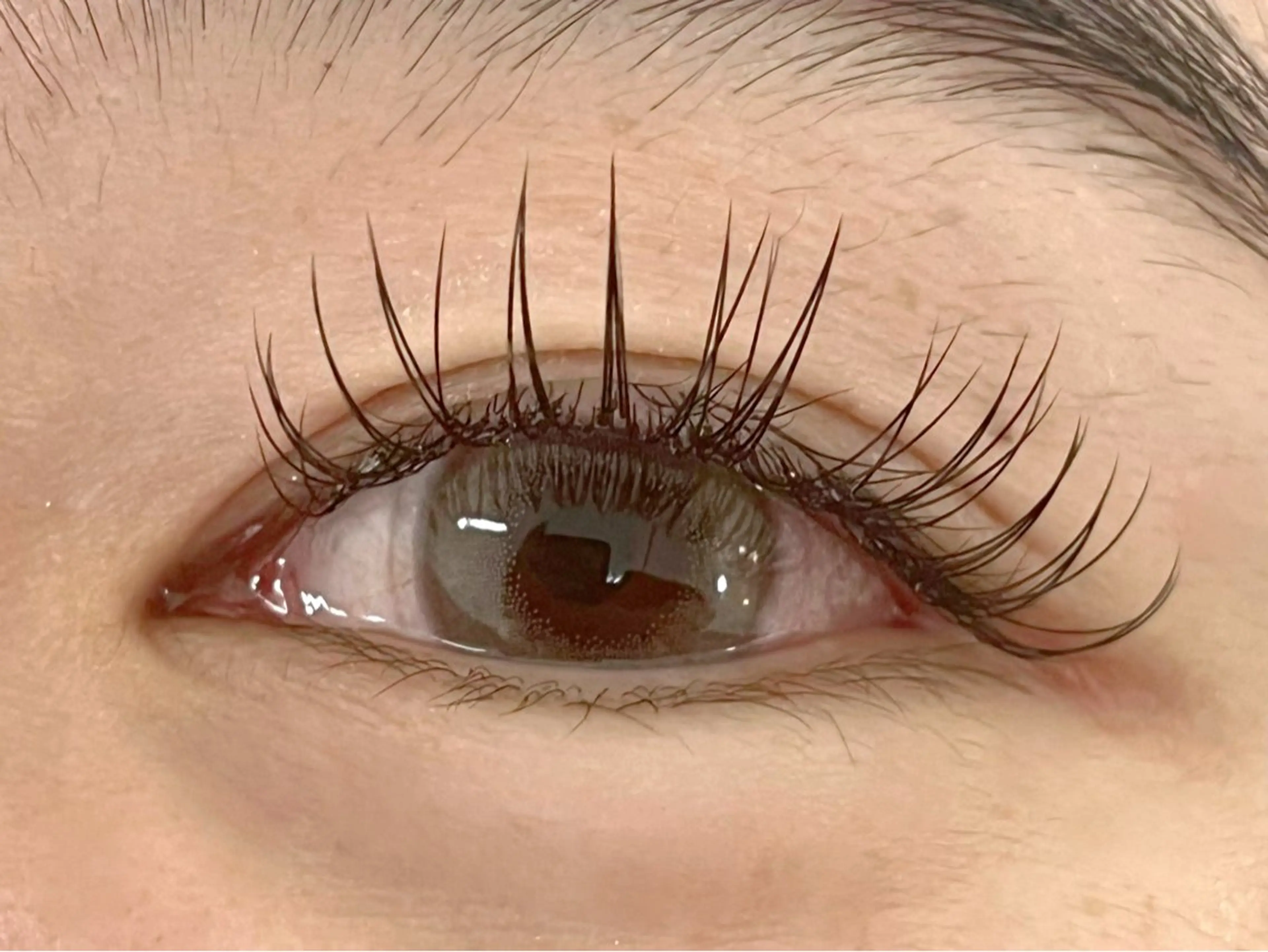 マツエク・マツパ Eye'llbe lash《アイビーラッシュ》所属・Eye'llbe lashのその他イメージ