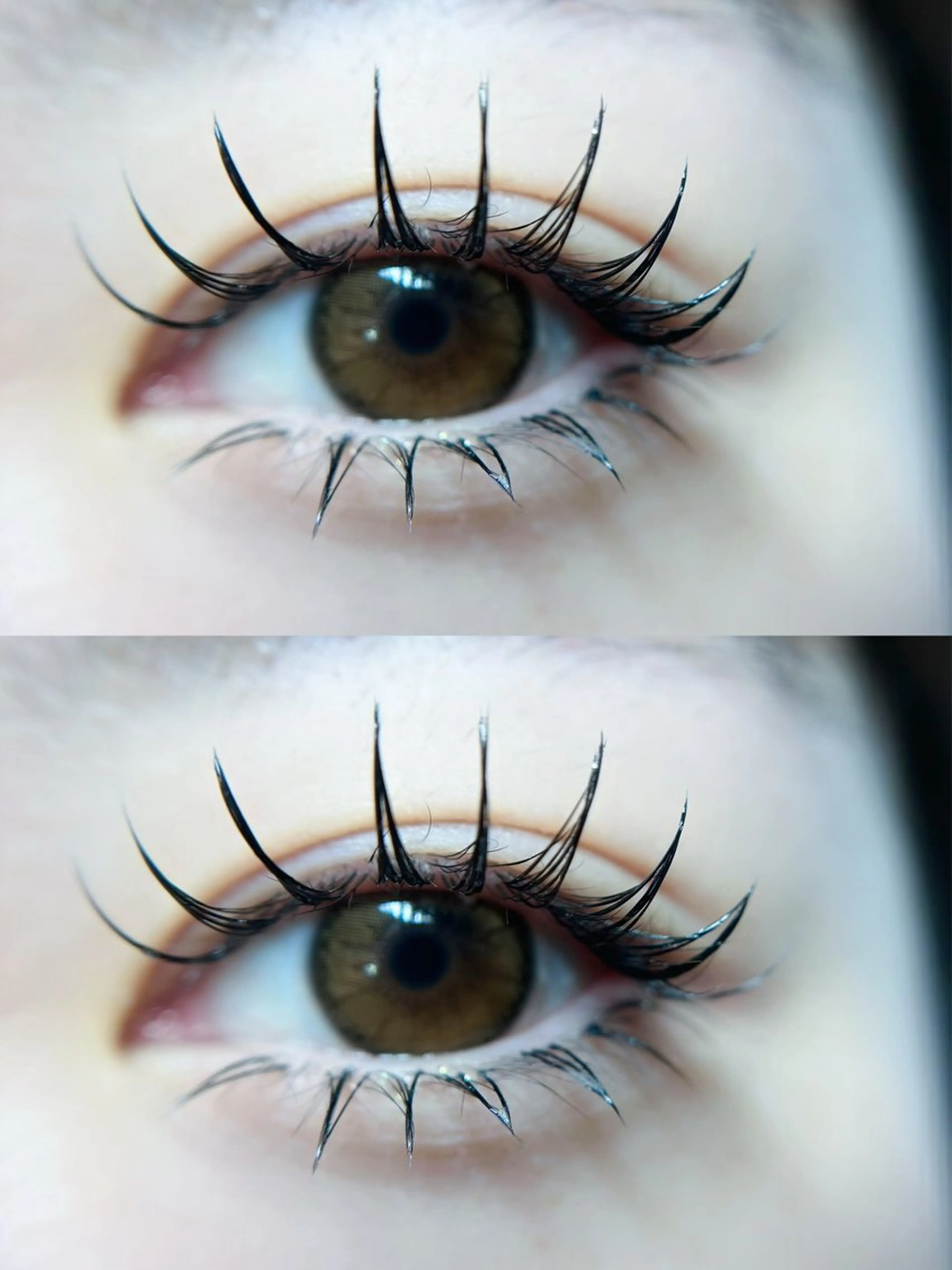 マツエク・マツパ ワンホンデザイン 専門店 FOIのマツエク・マツパデザイン