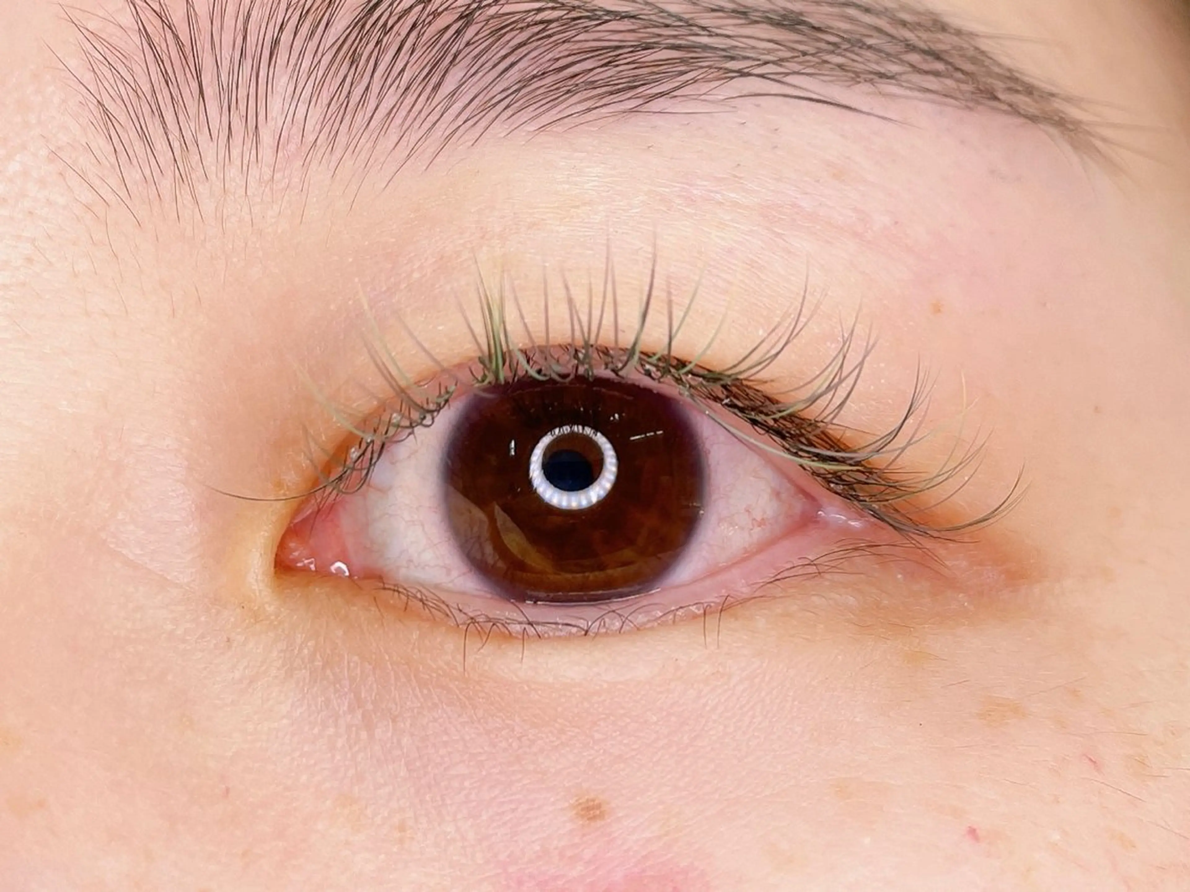 マツエク・マツパ フラットラッシュ マツエク AYA 【eyelash】のマツエク・マツパデザイン