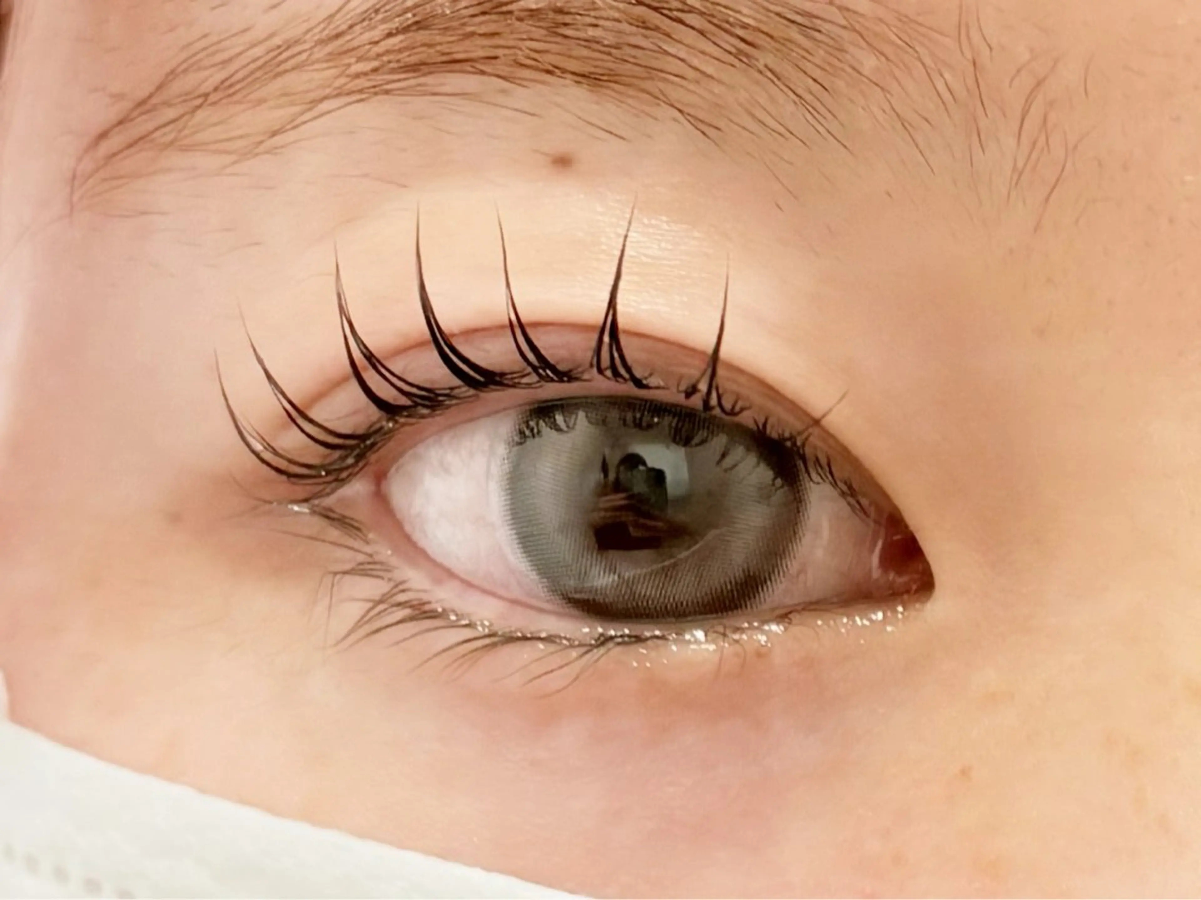 🎀無料パリジェンヌ➕美容液コーティングの写真