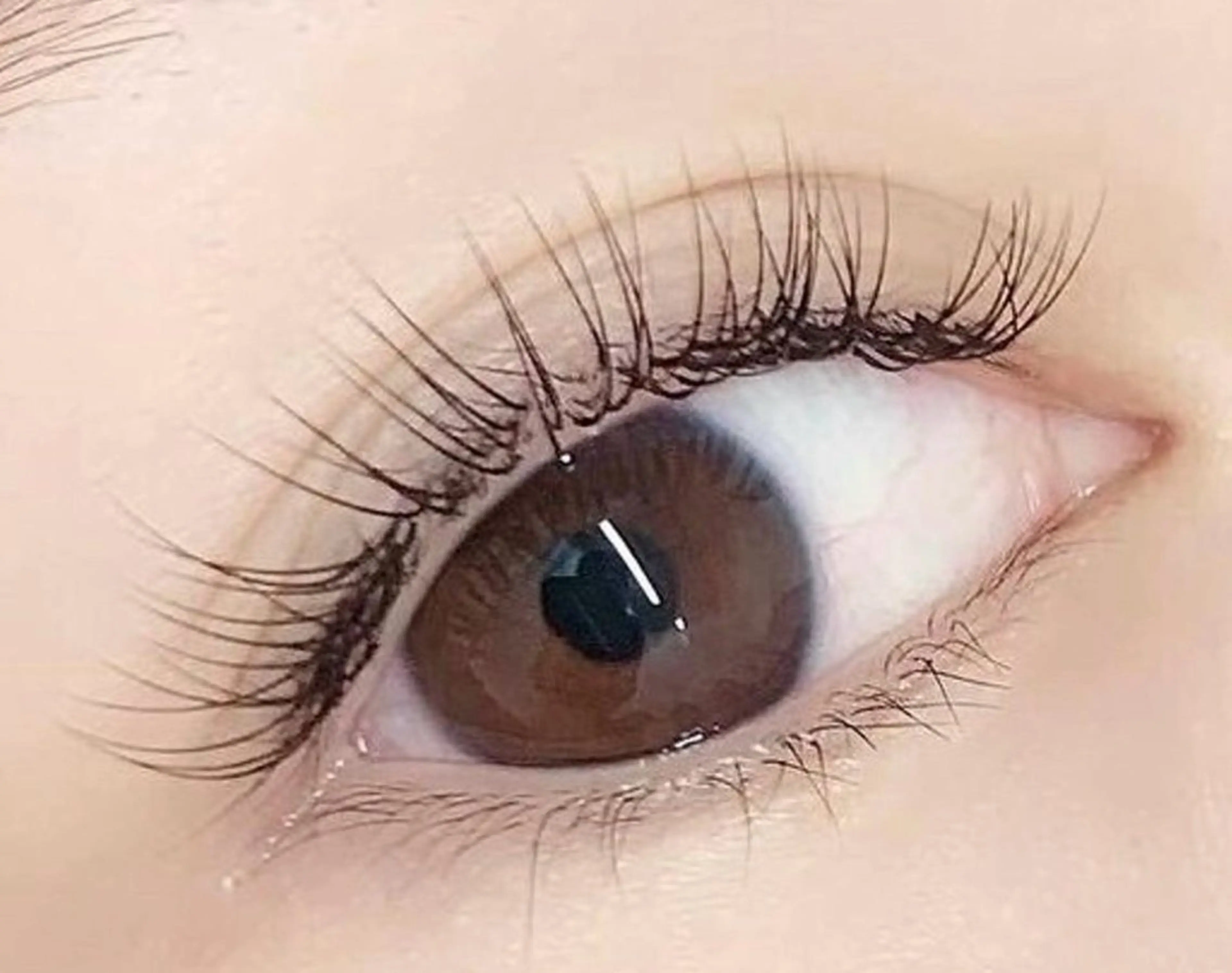 マツエク・マツパ まつげ&眉サロンa la mode 樟葉店所属・a lamode Yuukaのマツエク・マツパデザイン