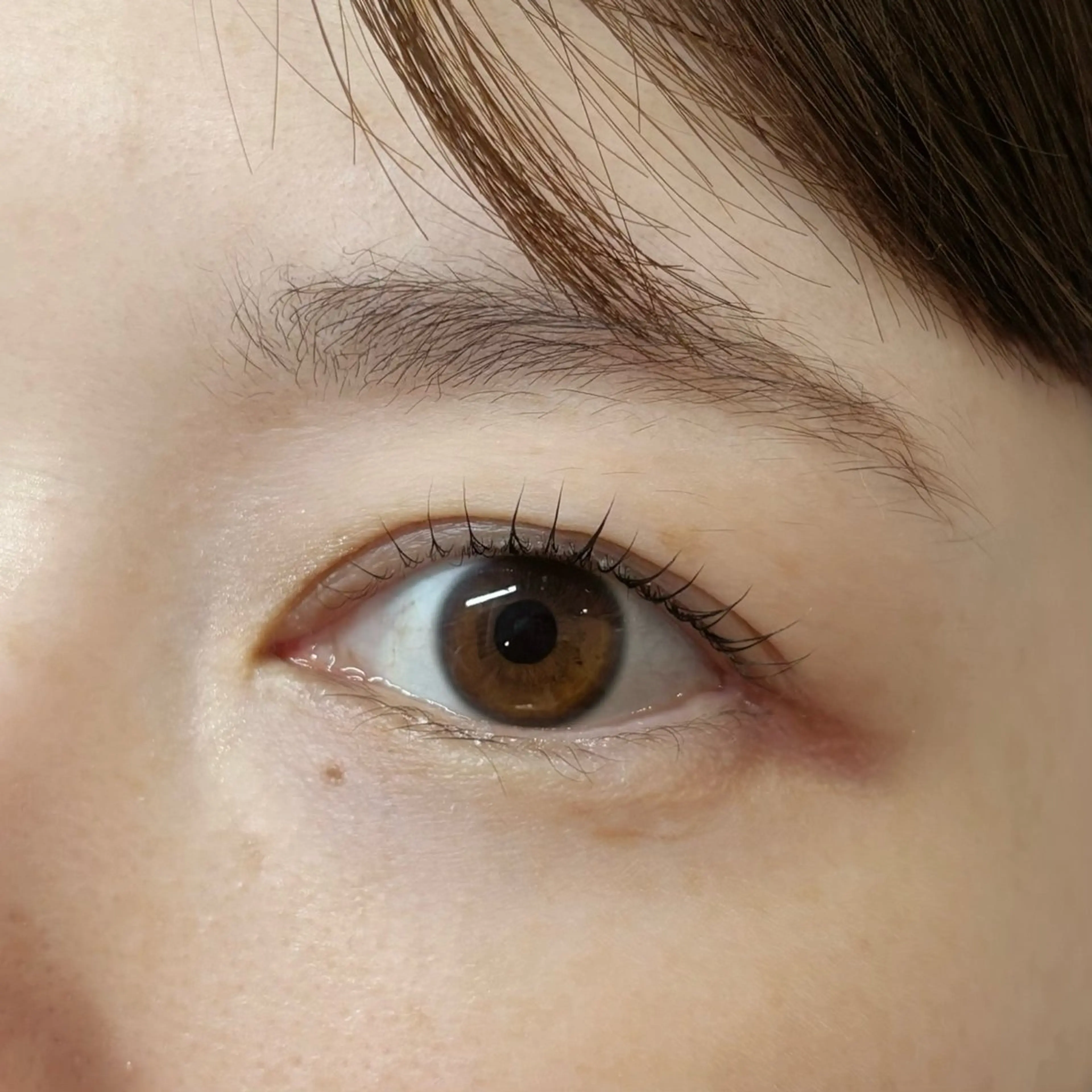 マツエク・マツパ マツパ ハルナ🐈‍⬛ Arune 大宮のマツエク・マツパデザイン