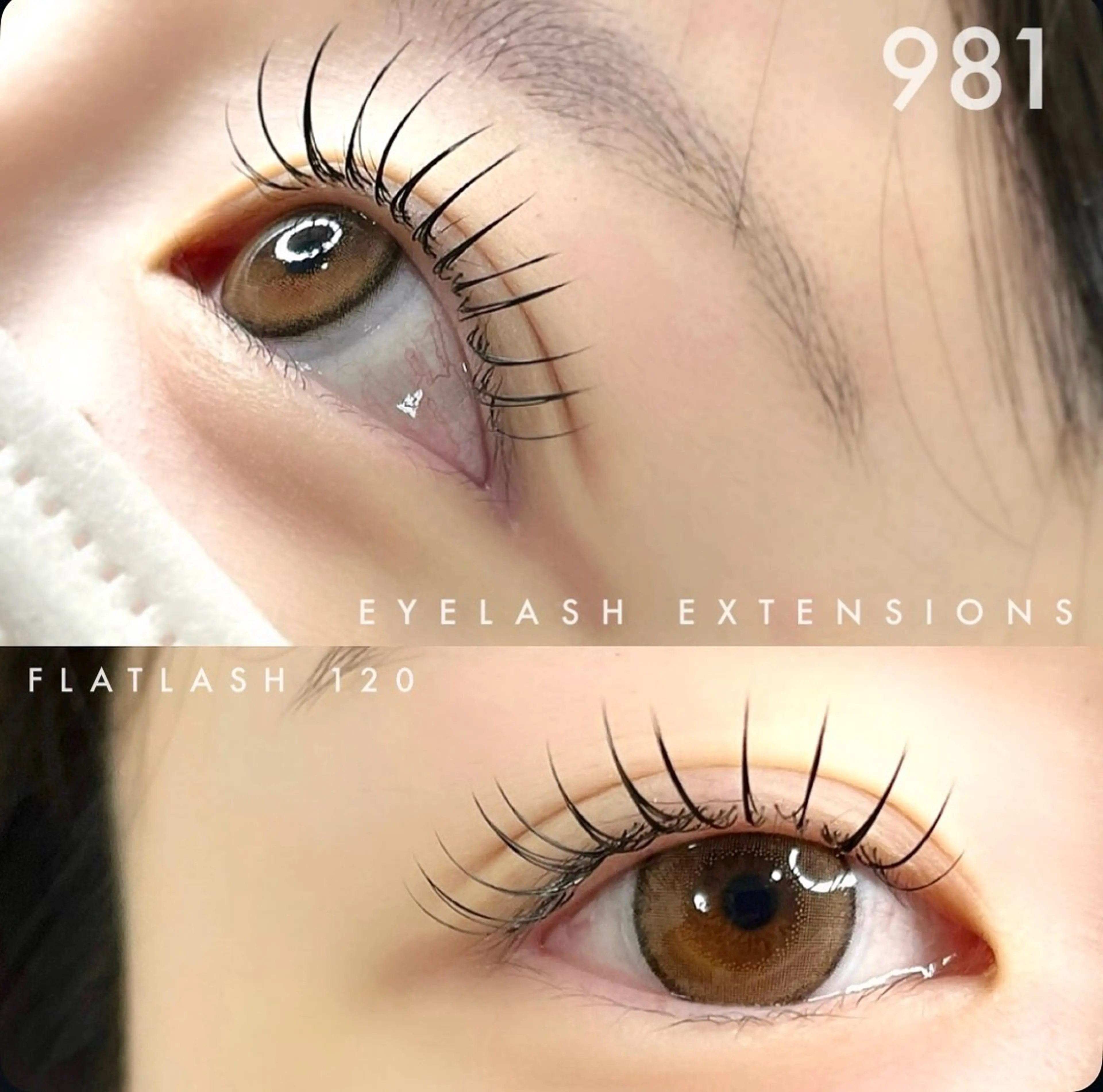 マツエク・マツパ マツエク 981所属・981 KURUMIのマツエク・マツパデザイン