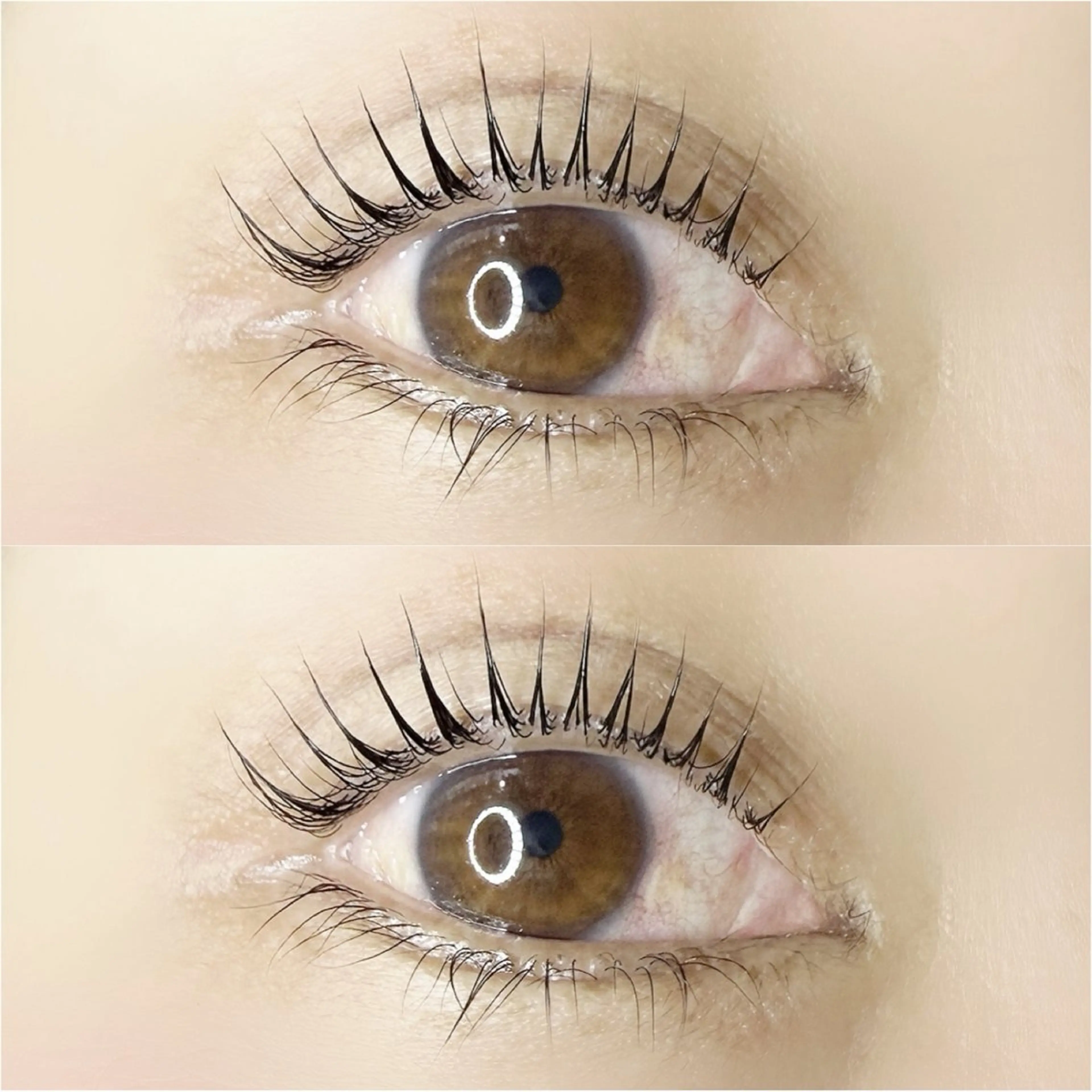 マツエク・マツパ 束感まつ毛 マツパ まつパまつエク❥❥ アズミ/金剛駅🌿‬のマツエク・マツパデザイン