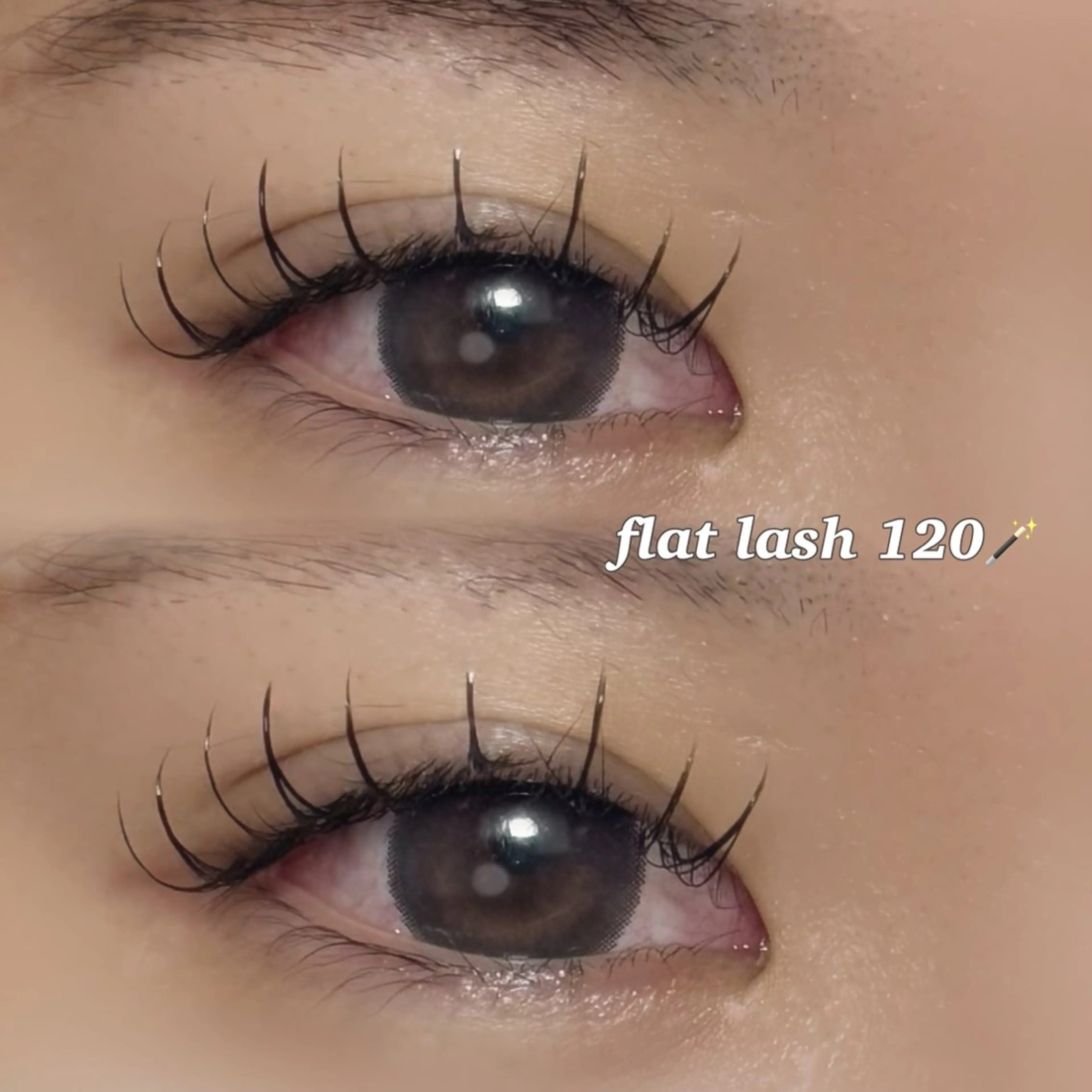 【ミニモ限定🩷】マツエクフラットラッシュ120本 🪄の写真