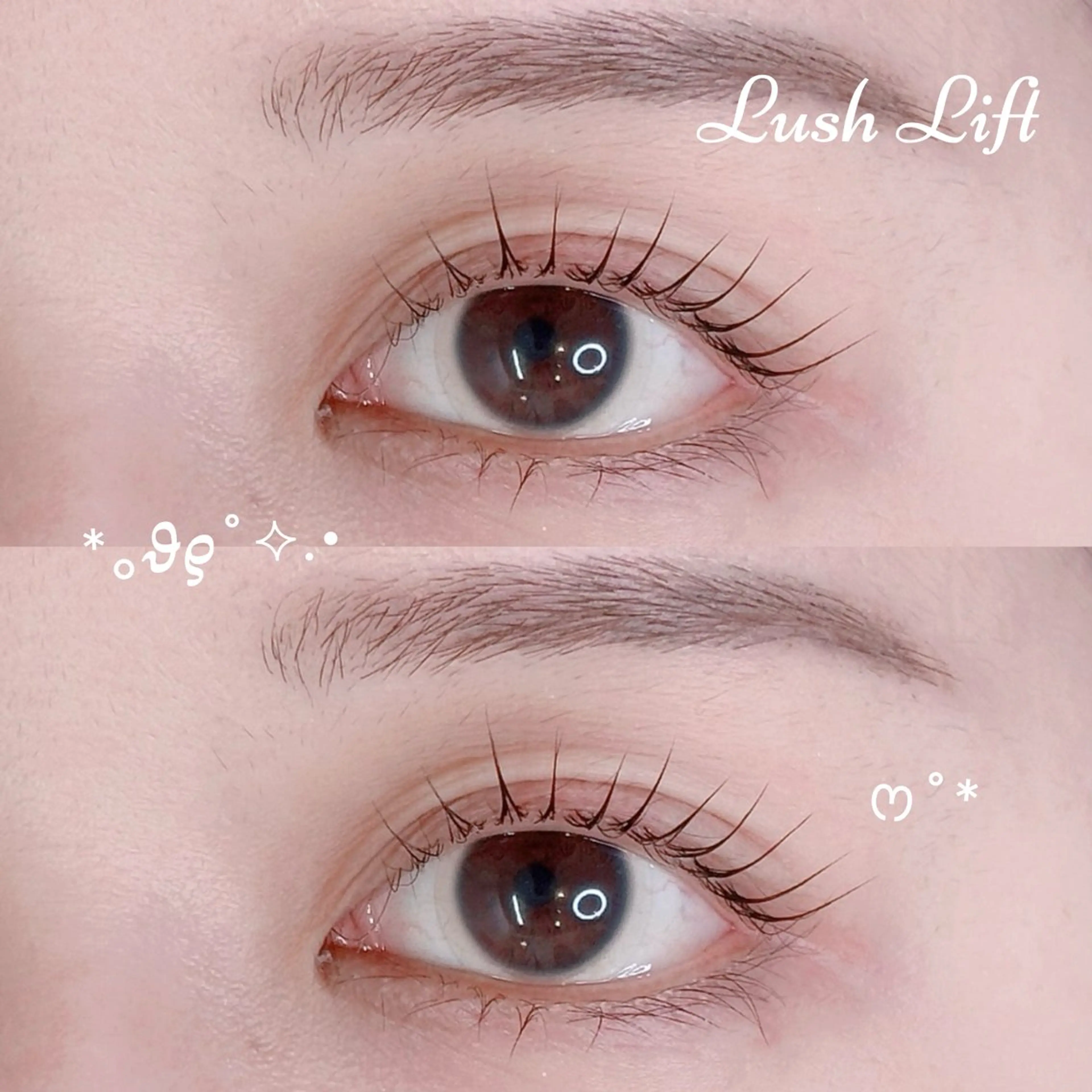 🎀上下まつ毛パーマ・パリジェンヌ🎀トリートメント×コーティング仕上げ✨️当日予約承っております❣️の写真