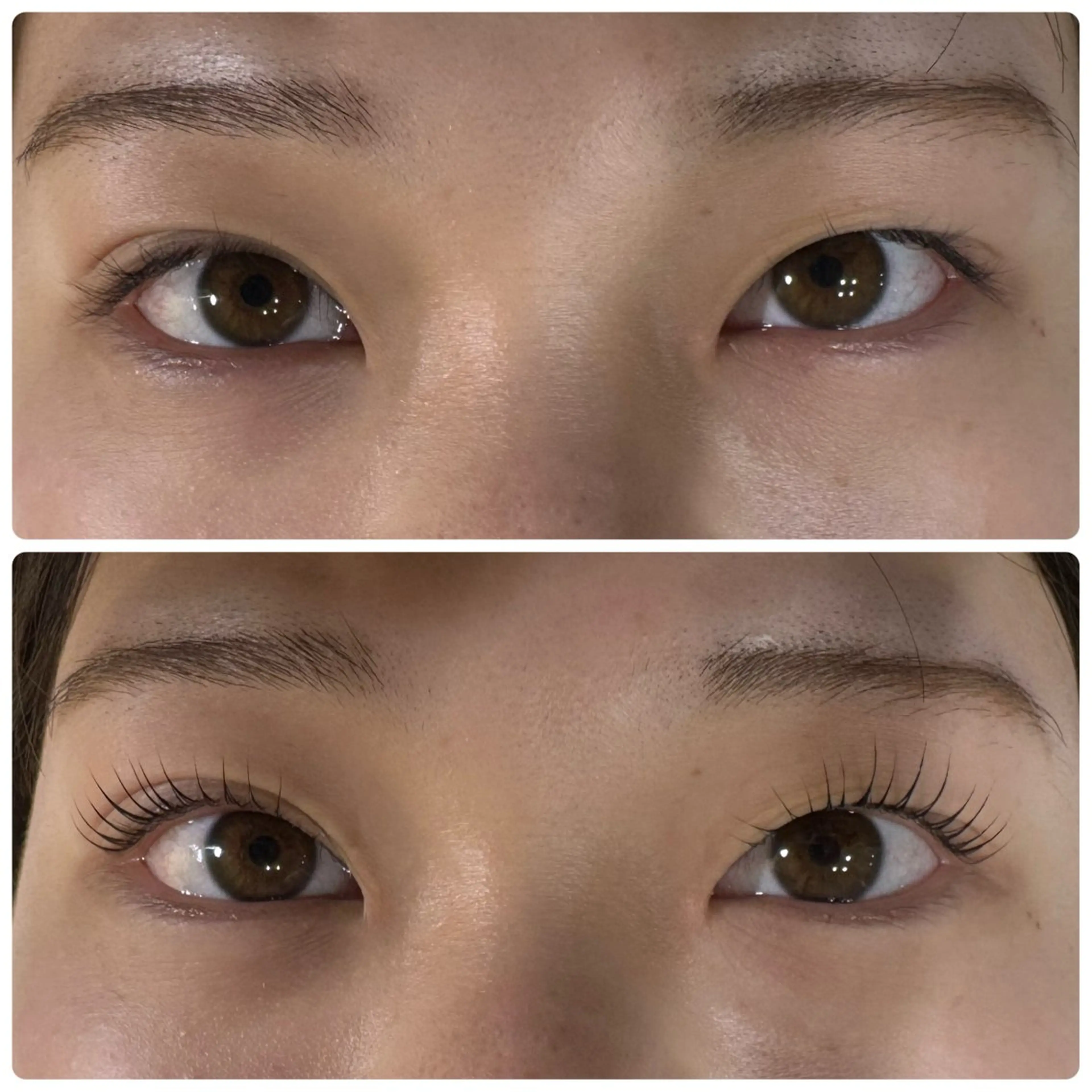 マツエク・マツパ パリジェンヌラッシュリフト 一重×まつ毛パーマ マツパ マリーテレジア USUIのマツエク・マツパデザイン