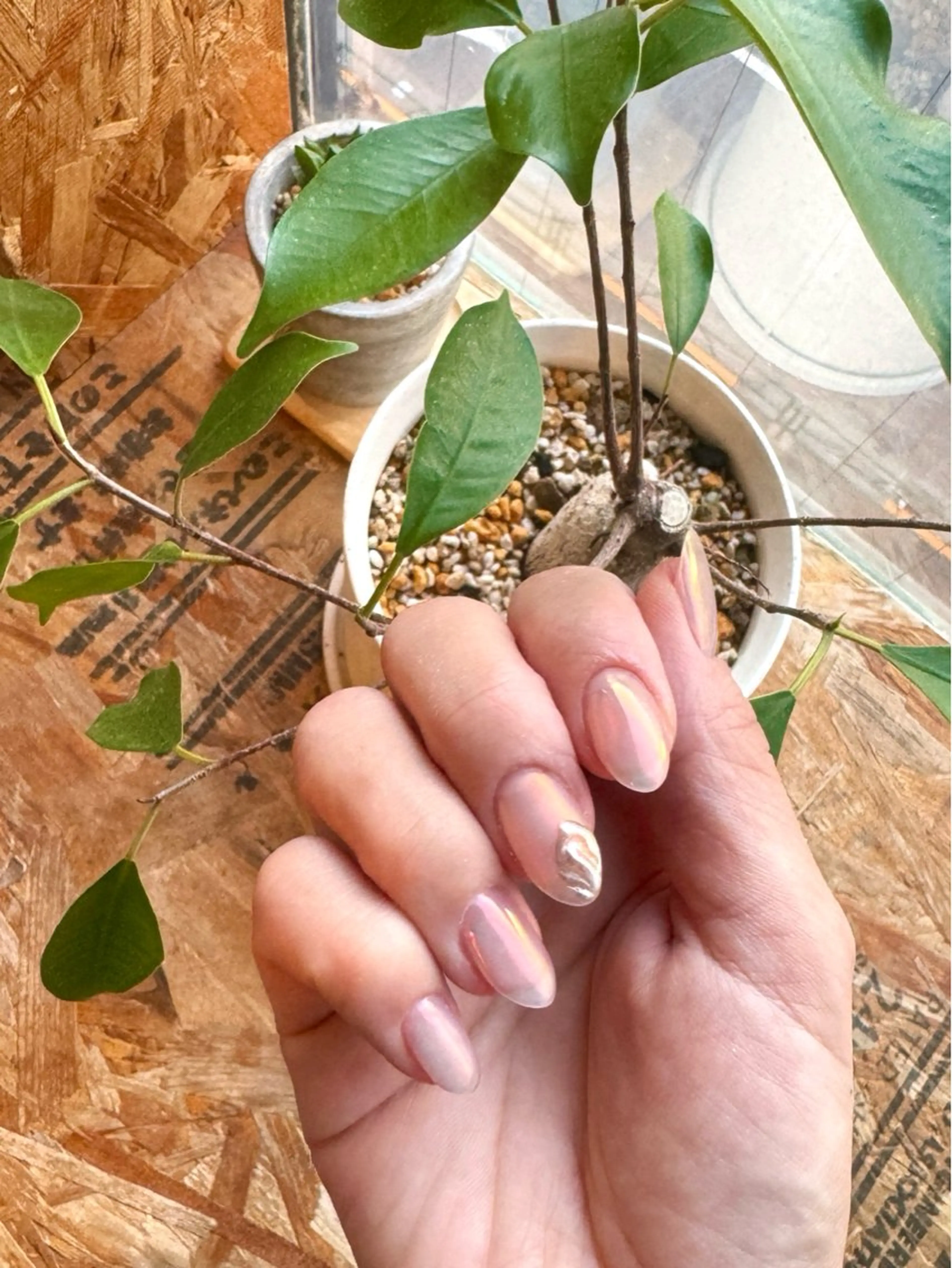 ネイル PRIMO🐈🌱 マツパ/黒ティントのマツエク・マツパデザイン