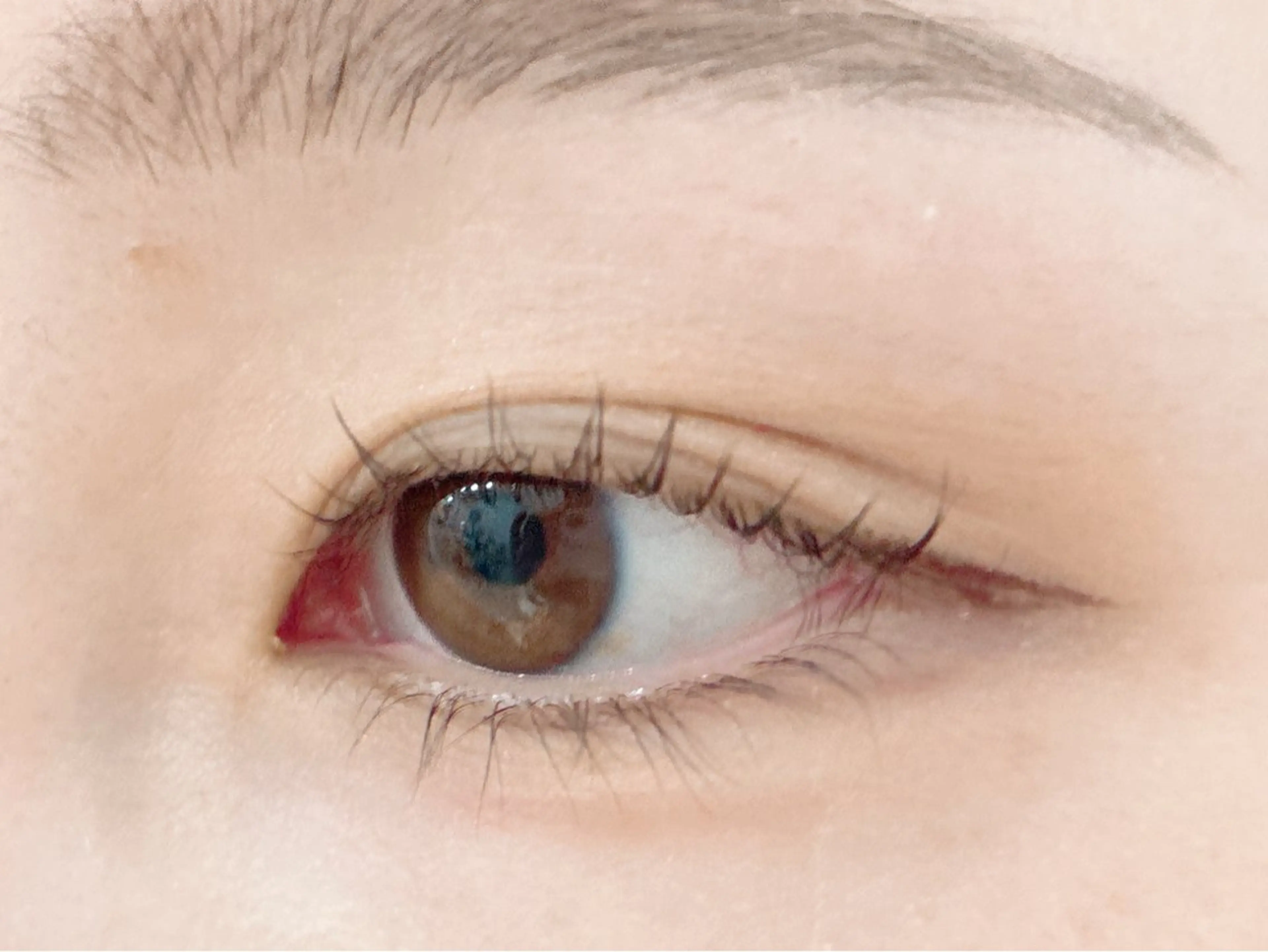 マツエク・マツパ マツパ マックス サロン東池袋のマツエク・マツパデザイン