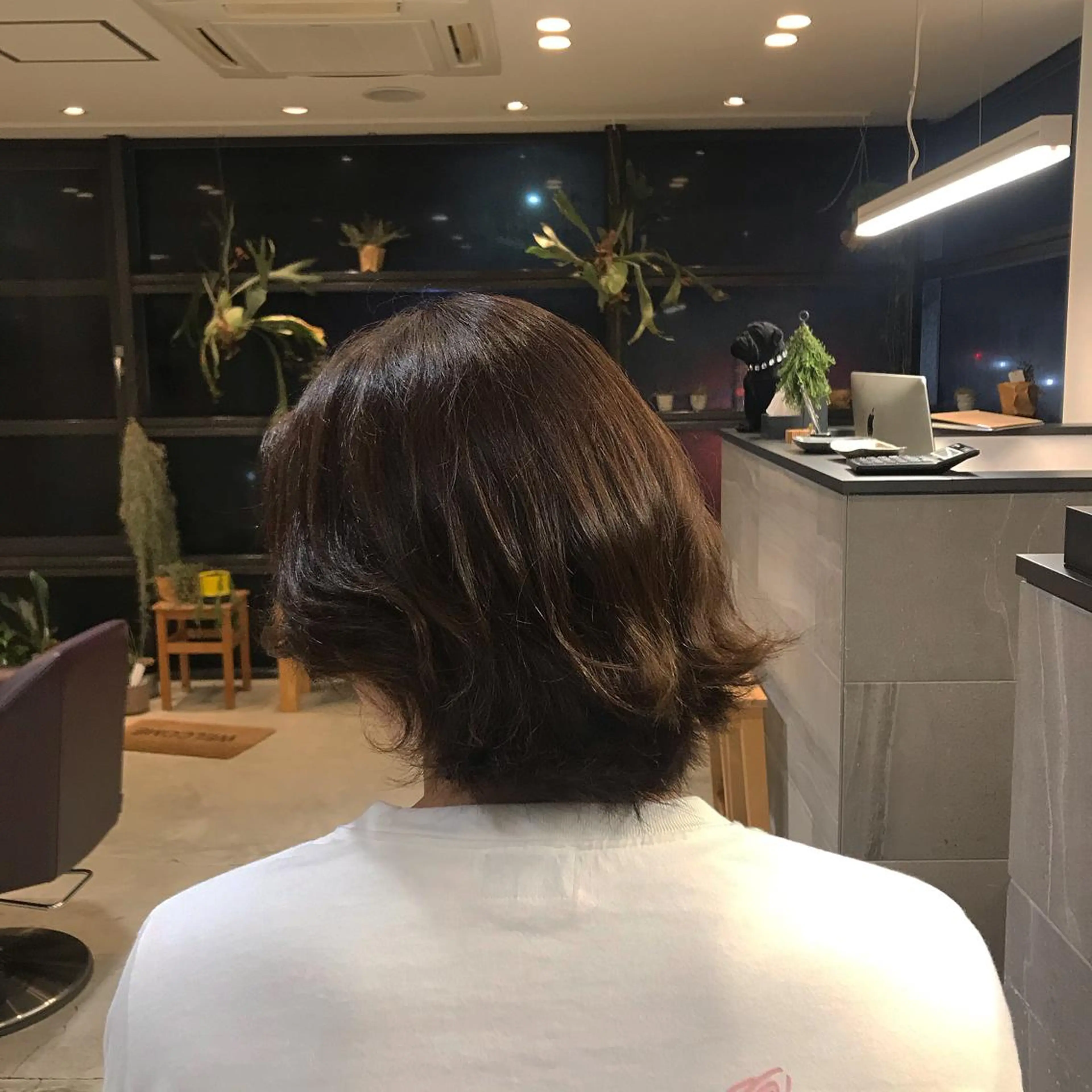 ショート 菅原 彩加のヘアスタイル
