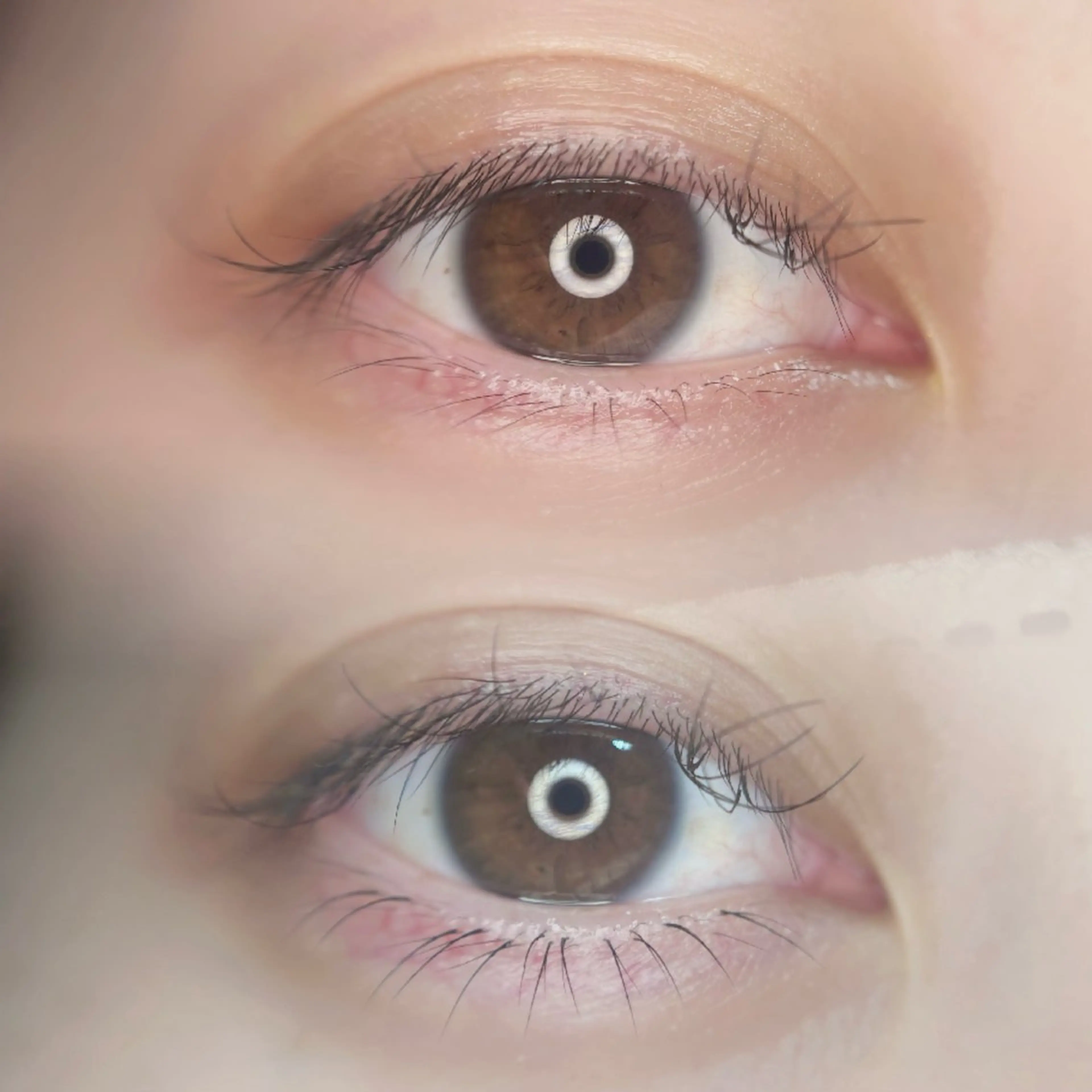 マツエク・マツパ 🦋MaaZlash 南流山FUKA🤍のマツエク・マツパデザイン