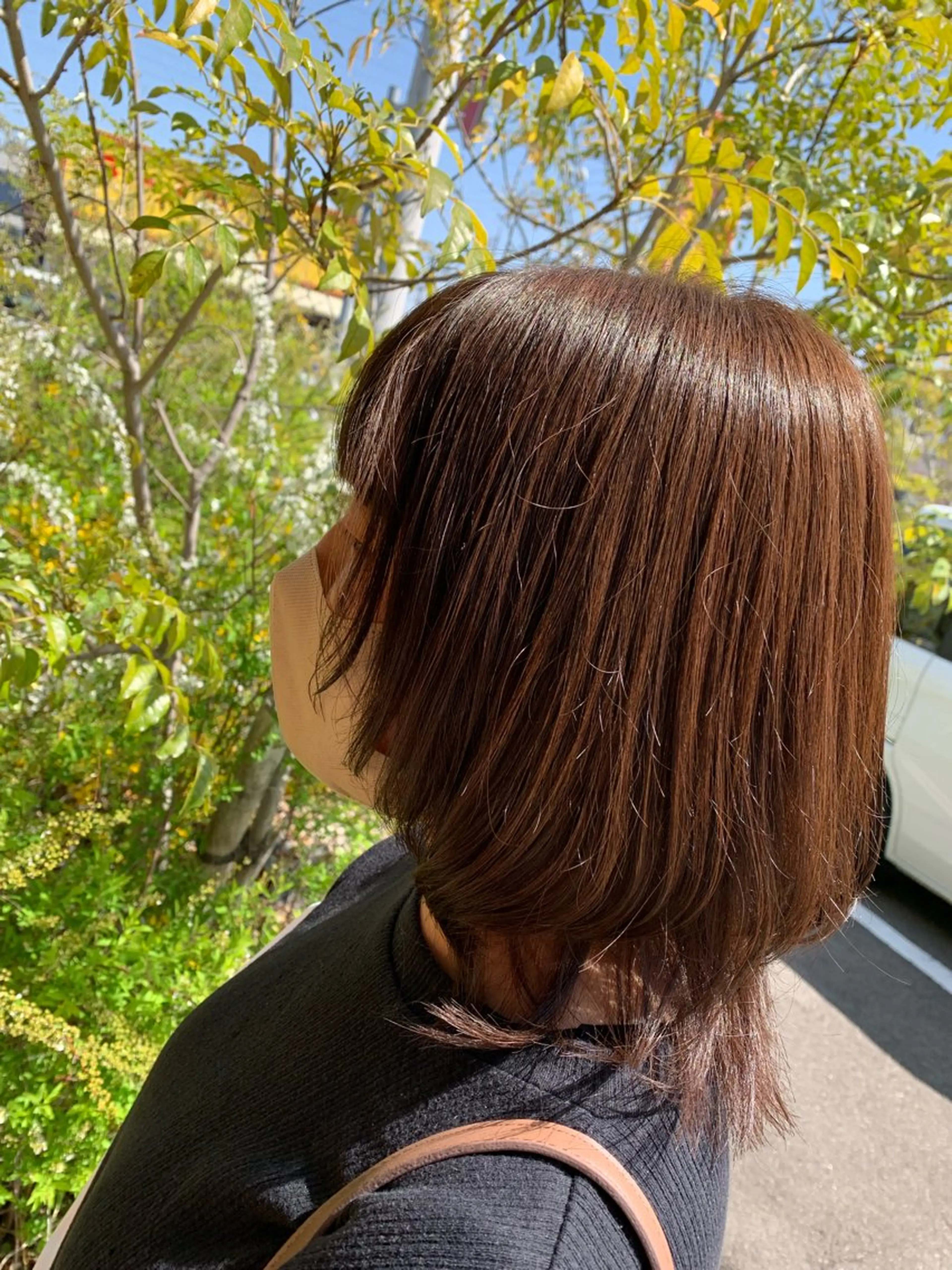 カラー ブラウンカラー 礒谷 夏帆のヘアスタイル