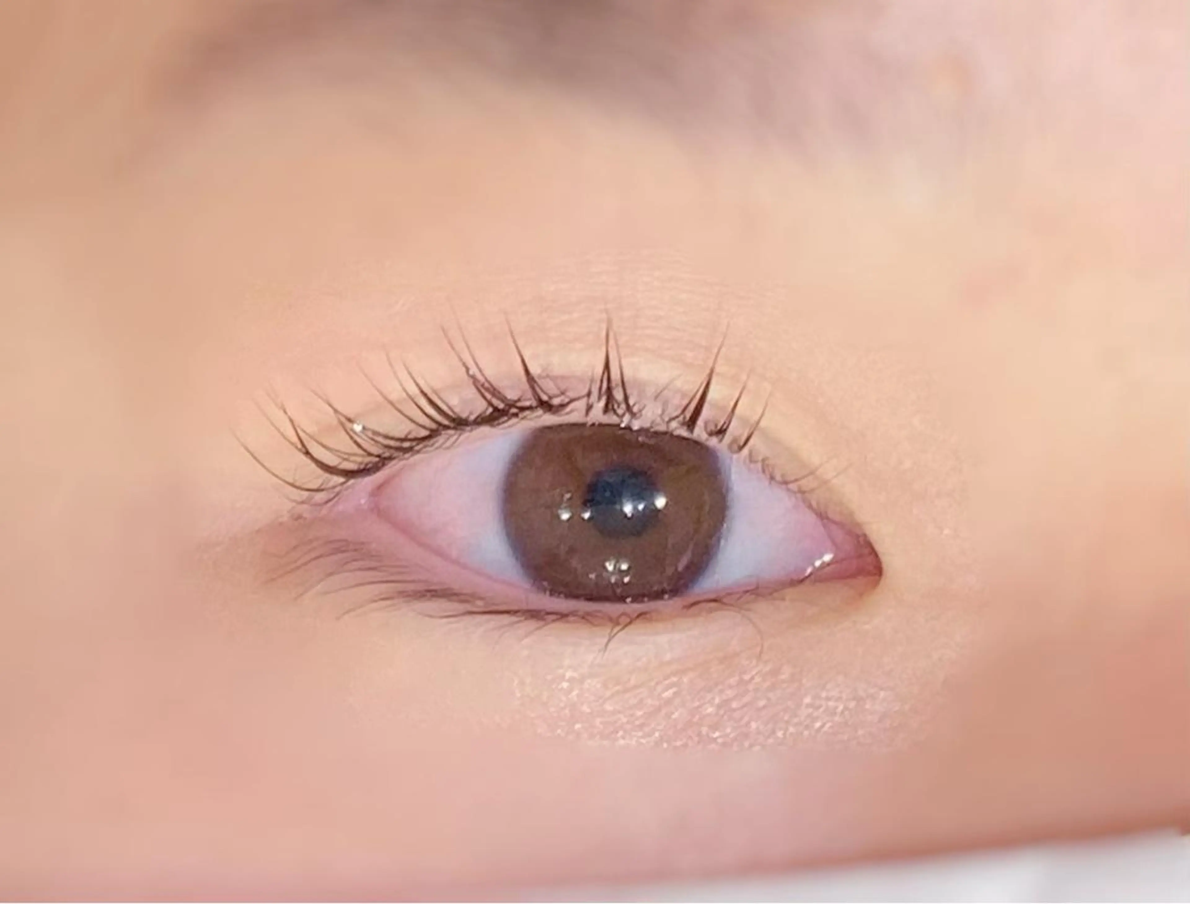 マツエク・マツパ パリジェンヌラッシュリフト P&Eまつげ専門 ★駅前店のマツエク・マツパデザイン