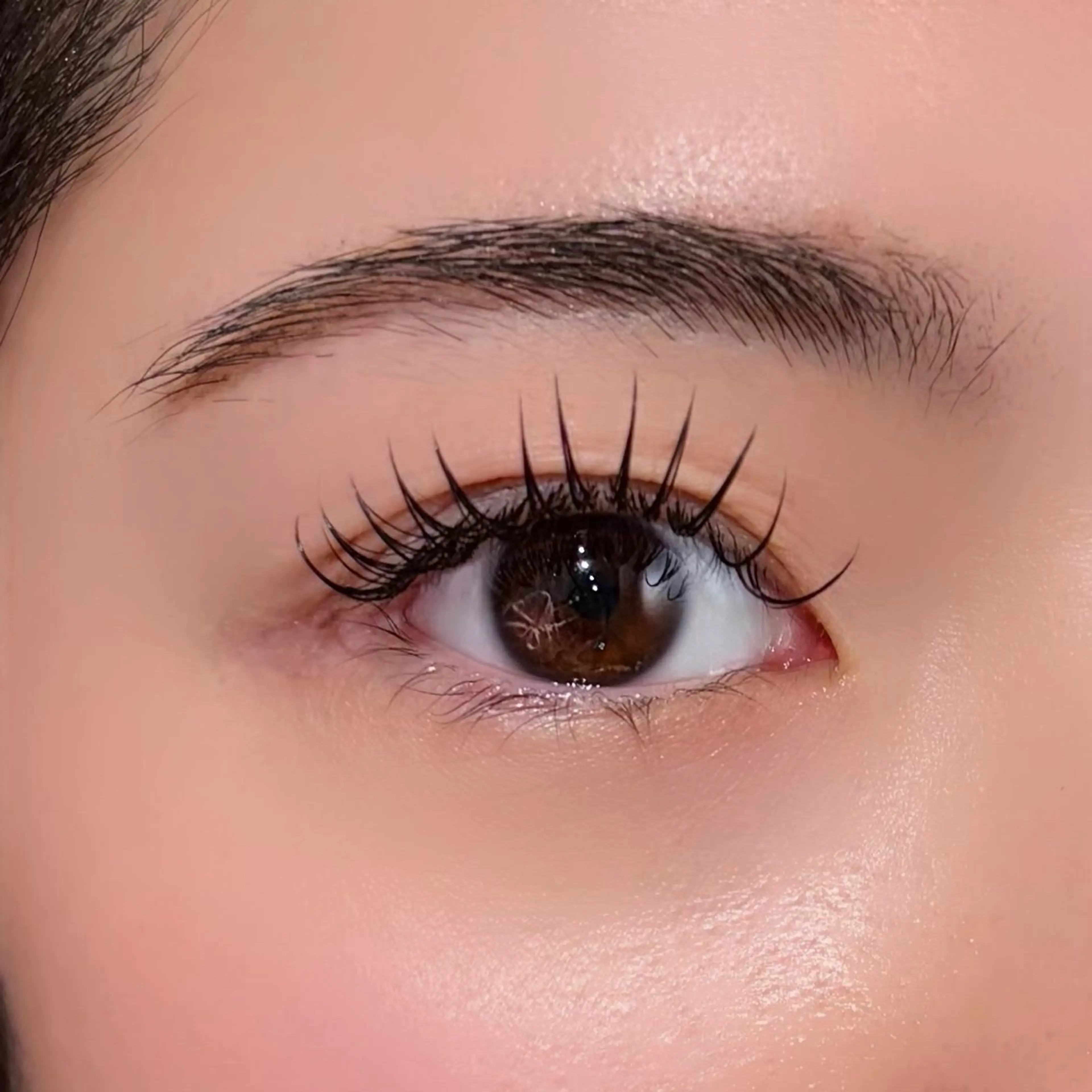 【2/20まで】フラットラッシュ 120本 コーティング仕上げの写真