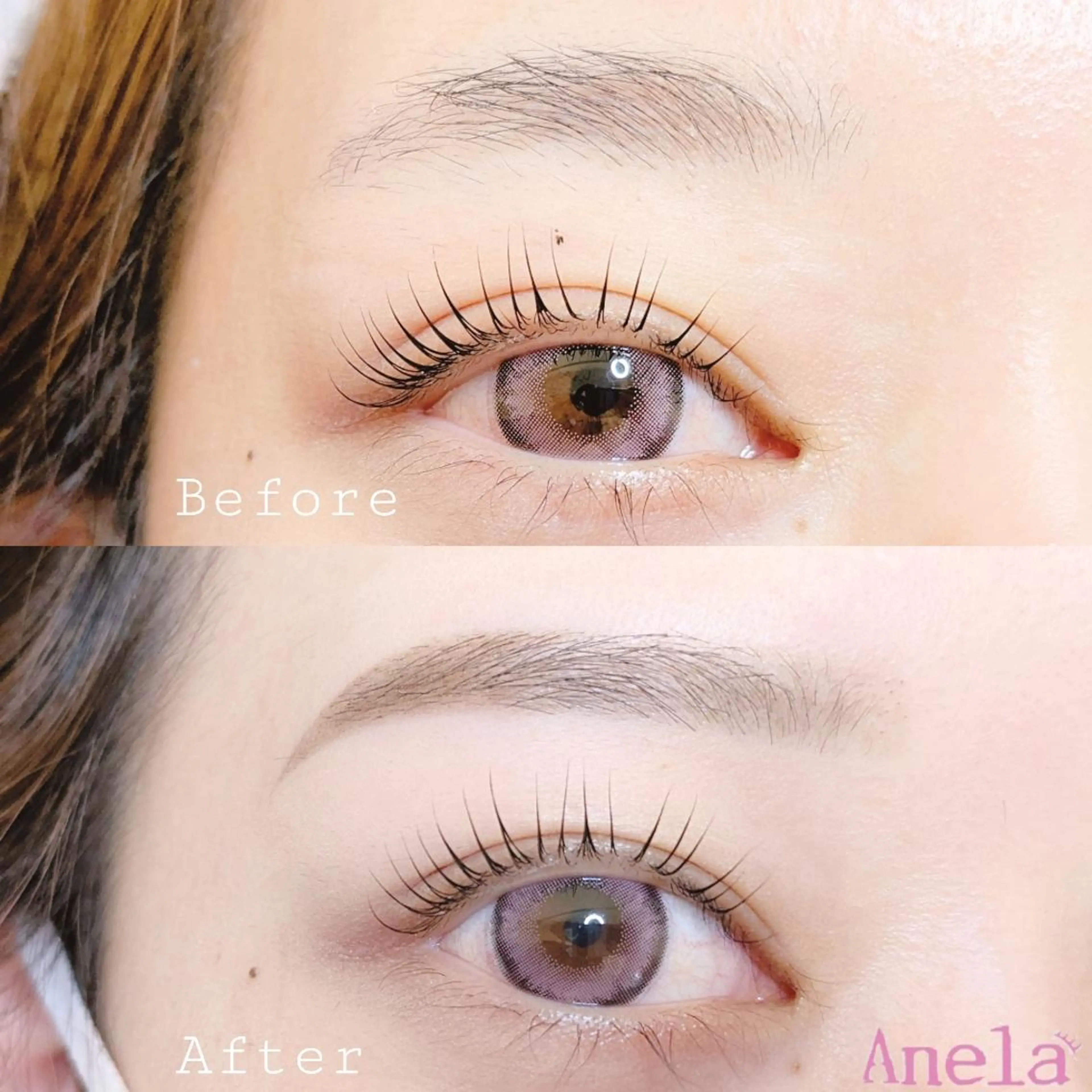 🌹美眉スタイリングWAX脱毛の写真