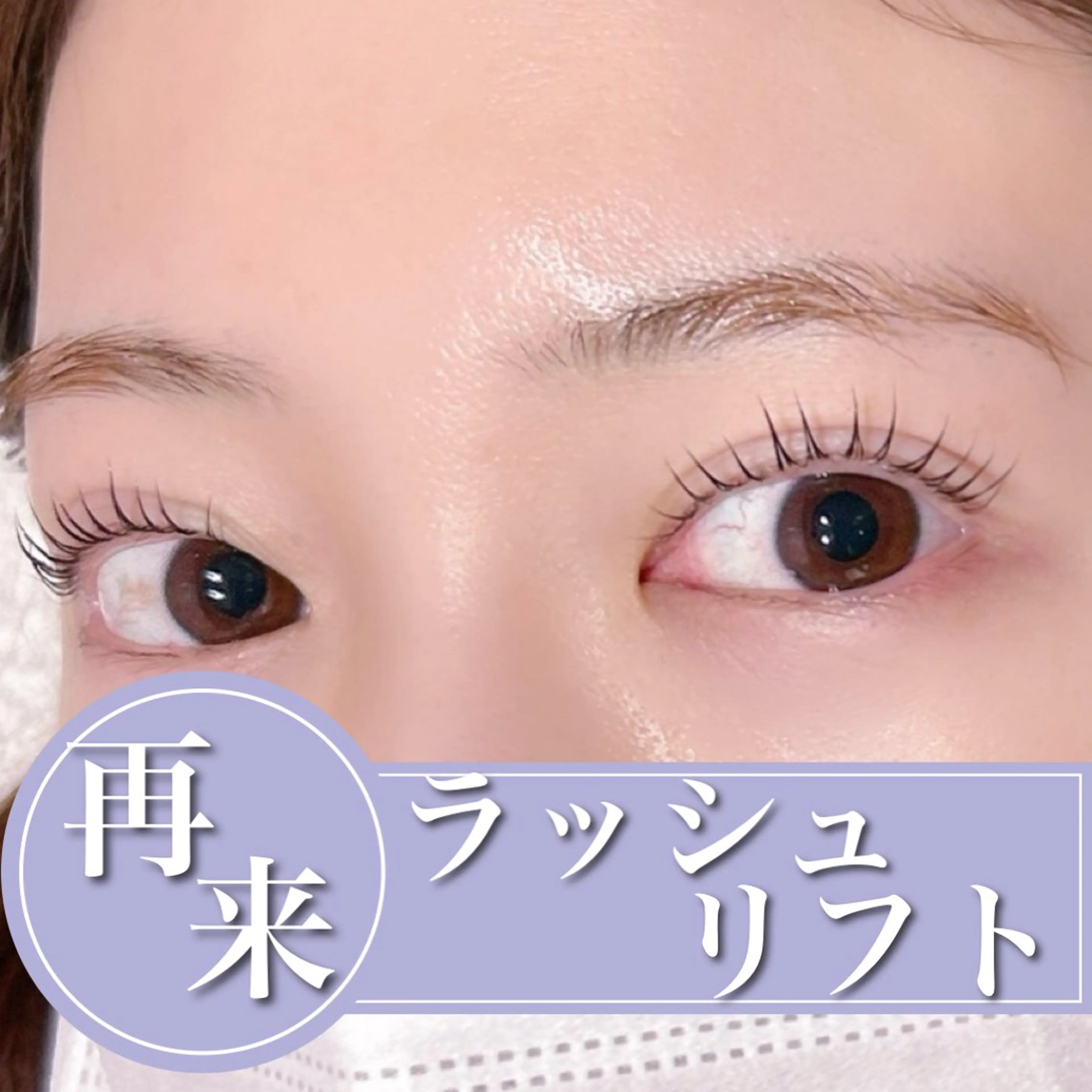 【再来/2回目以降】ラッシュリフト➕コーティング付き【技術up練習モデル】の写真