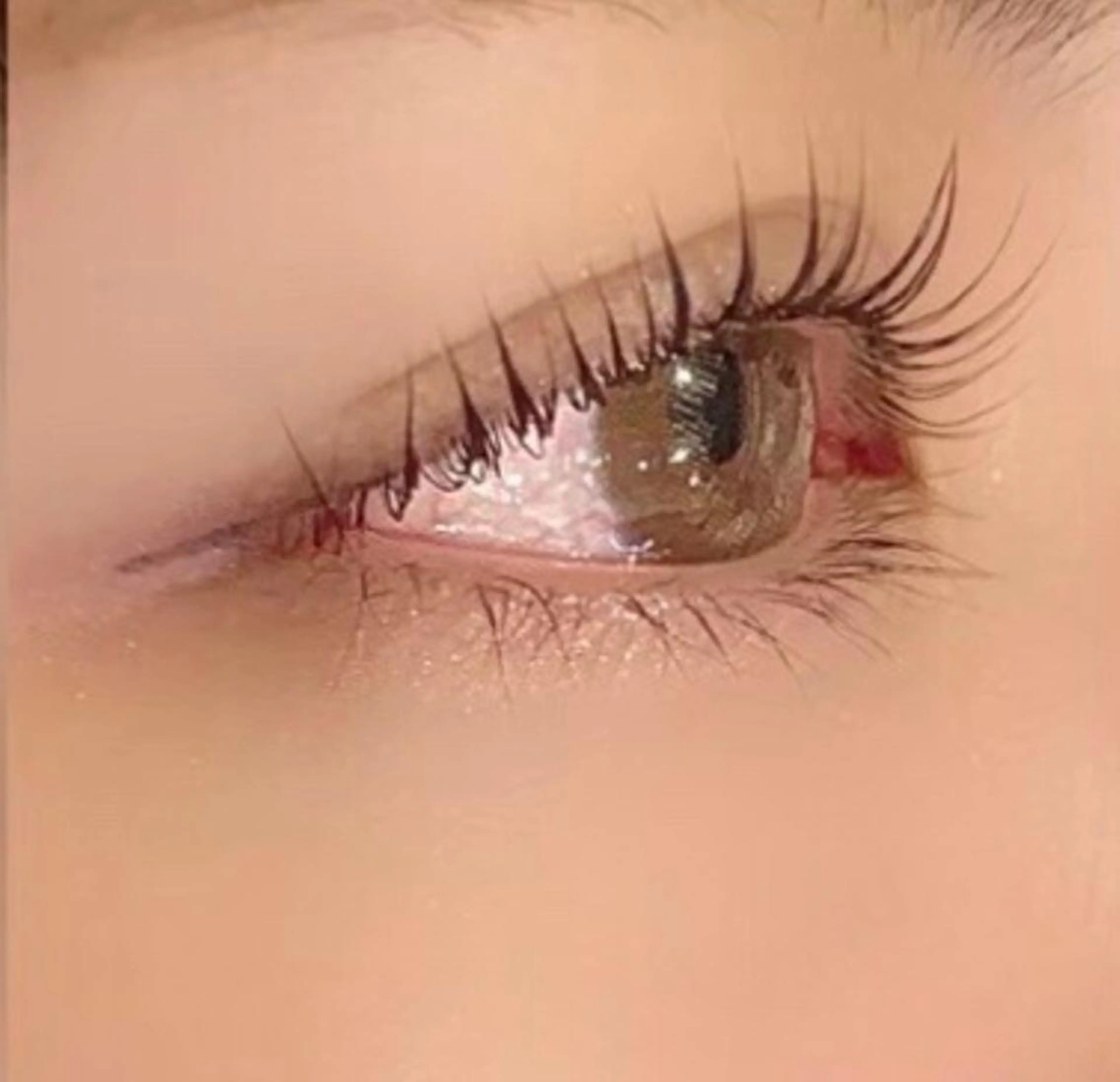 パリジェンヌラッシュリフト オフ・コーティング込の写真