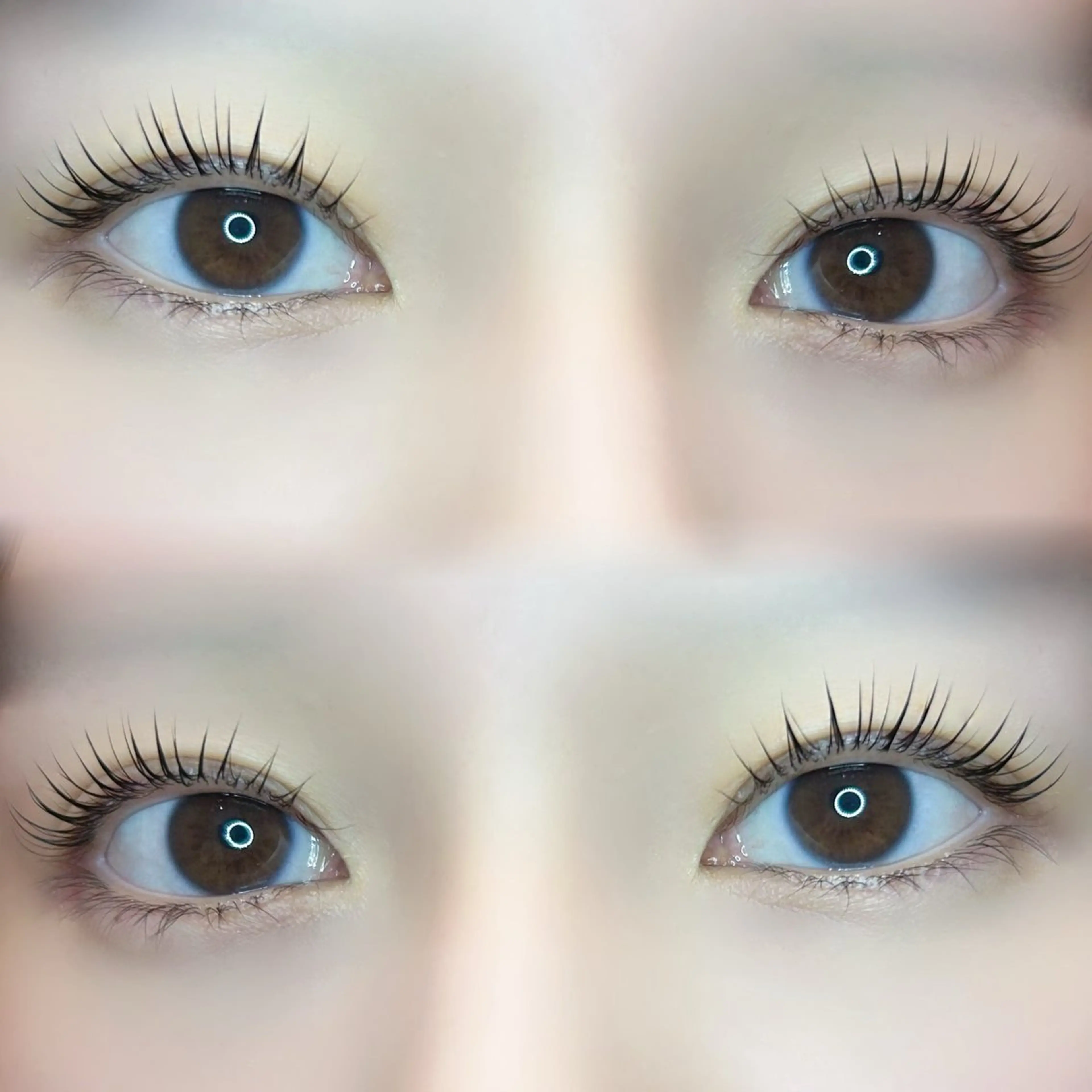 マツエク・マツパ パリジェンヌラッシュリフト 🍀fein. sakura🍀の眉毛・アイブロウイメージ