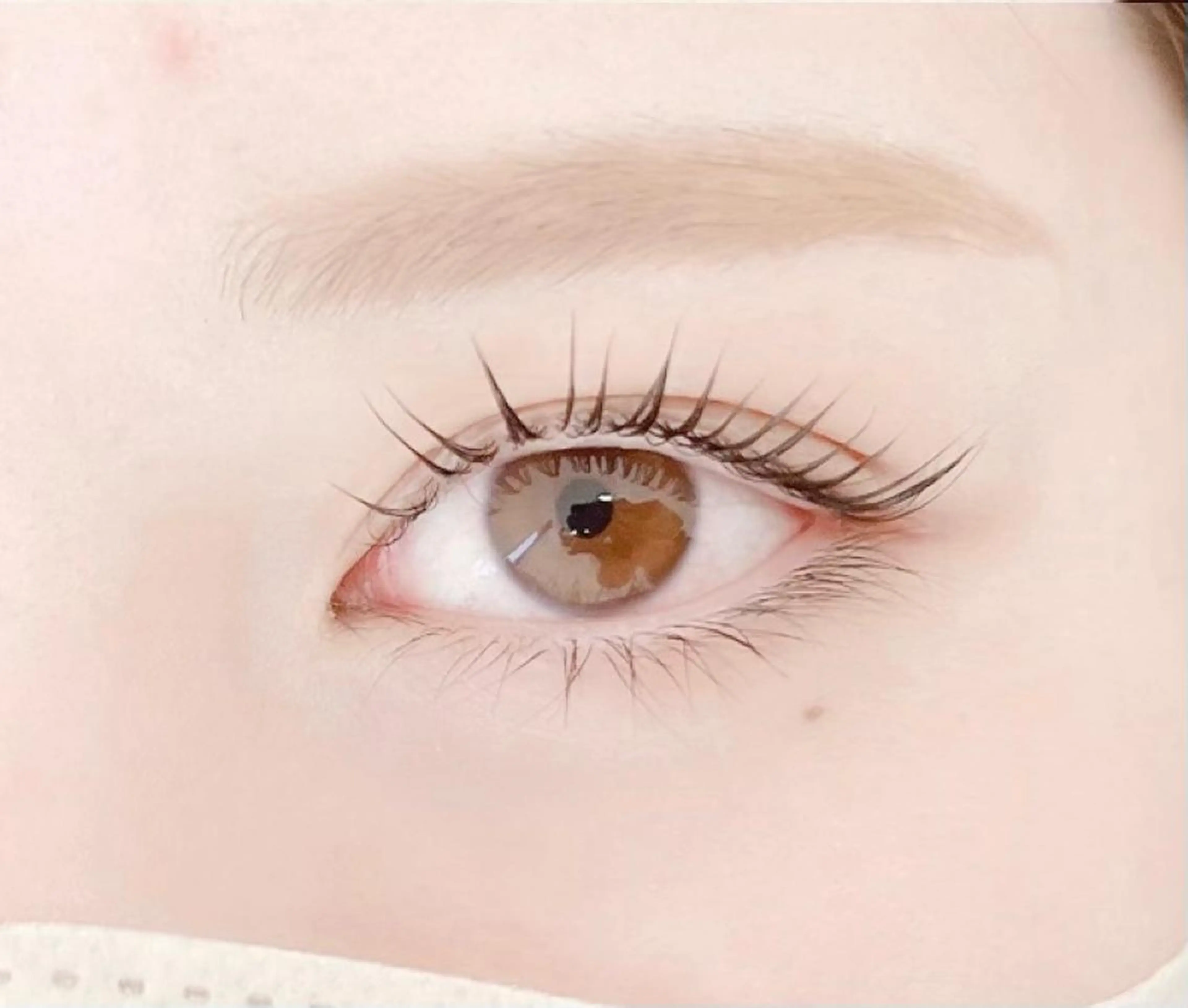 ‎🤍パリジェンヌラッシュリフト‎🤍(上)‎の写真