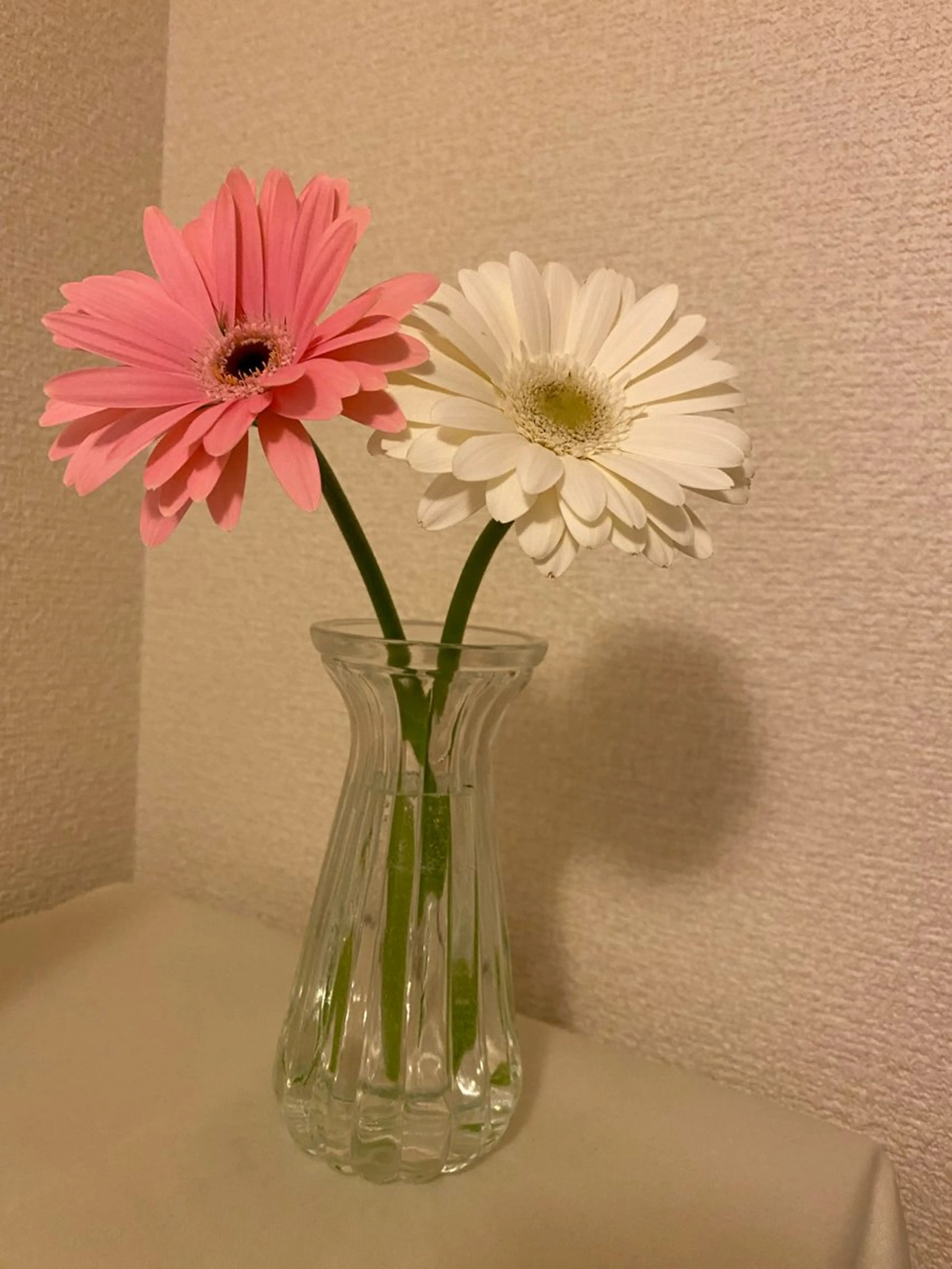 小倉 麻由のエステ・リラクイメージ