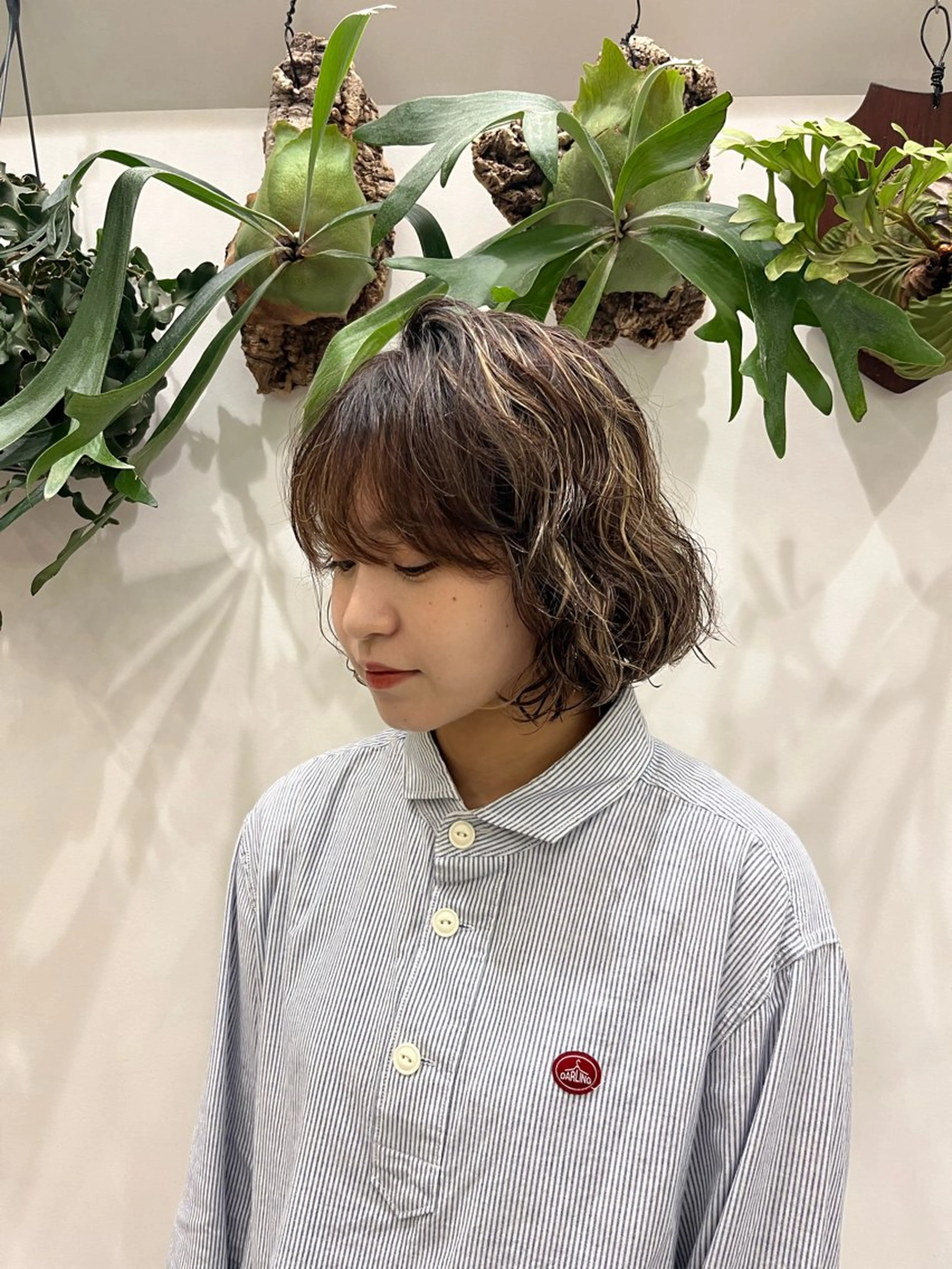 【ハイライト】細かく筋感を入れてトーンアップさせ白髪ぼかしをしたい方にオススメ🩵※オンカラーなしの写真