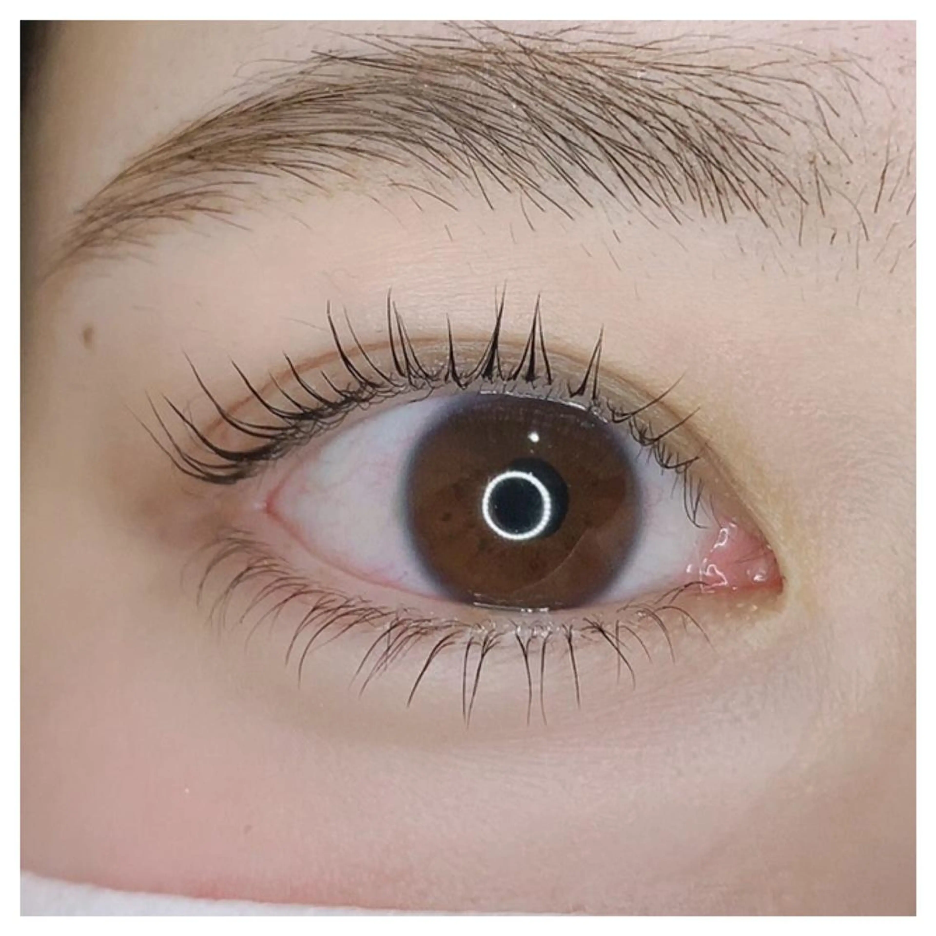 マツエク・マツパ Bunnyeyes 服部のマツエク・マツパデザイン