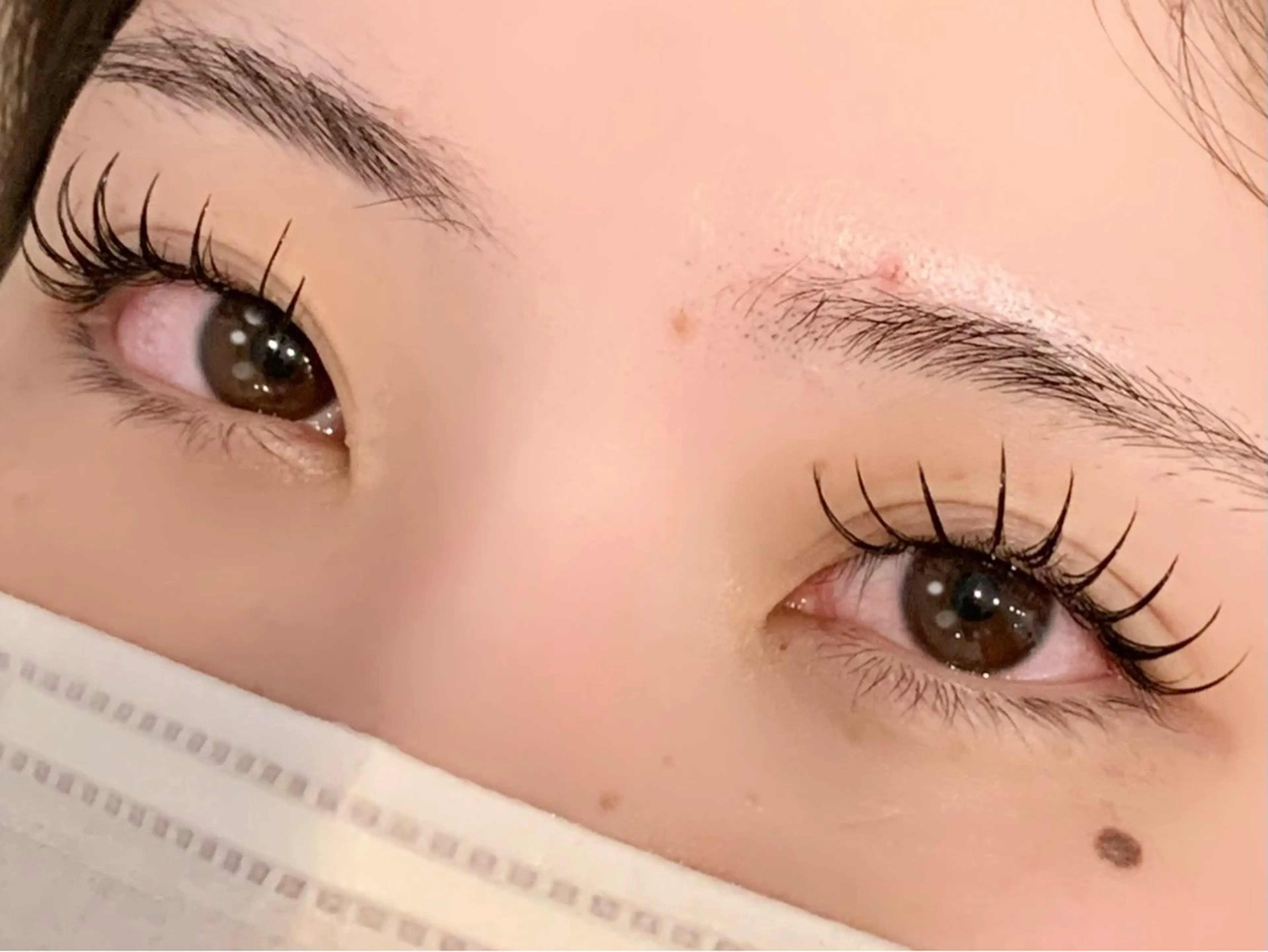 マツエク・マツパ マリーテレジア 無料モデルの眉毛・アイブロウイメージ