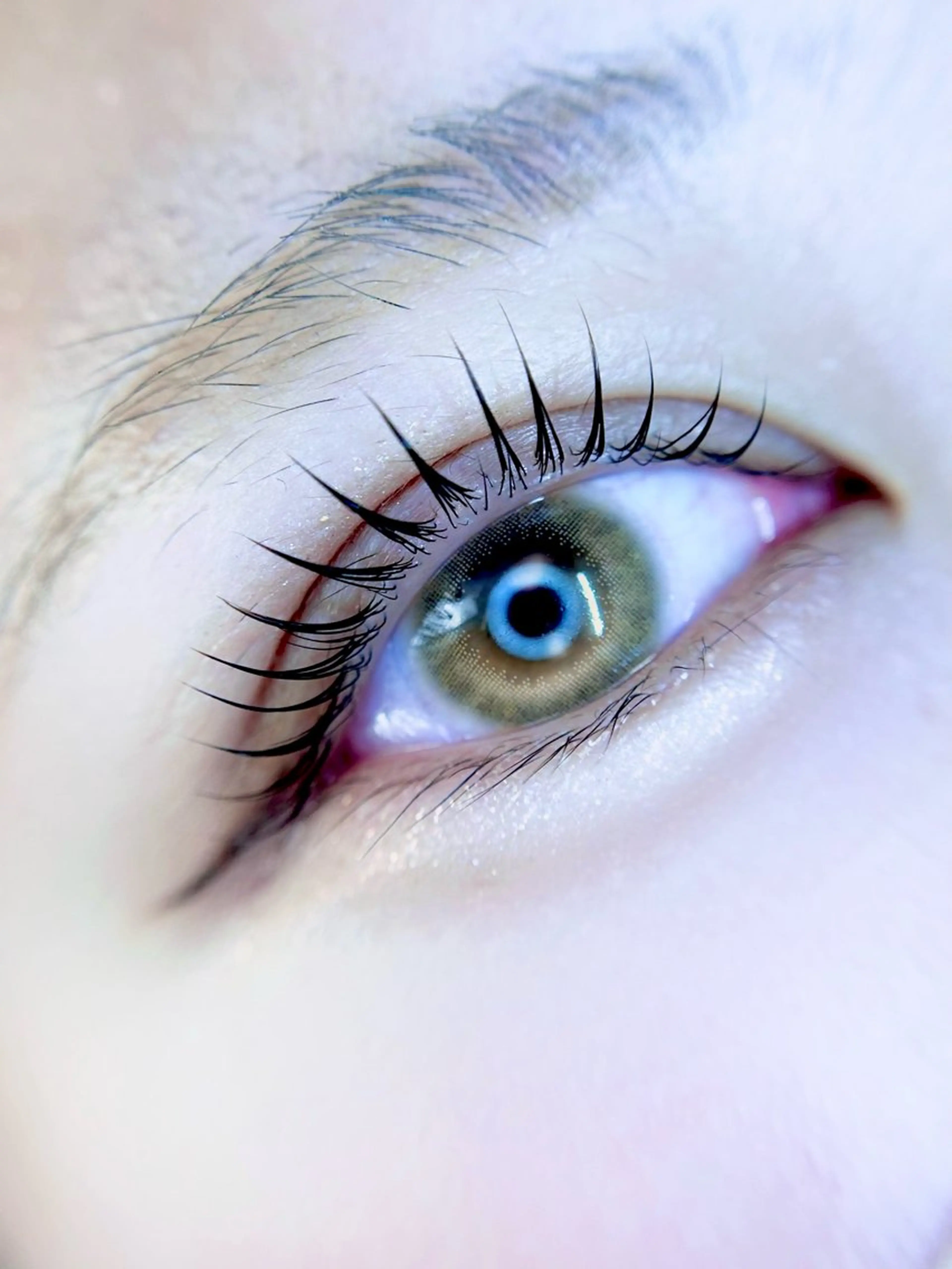 マツエク・マツパ eyelist. mizuki🐈‍⬛の眉毛・アイブロウイメージ