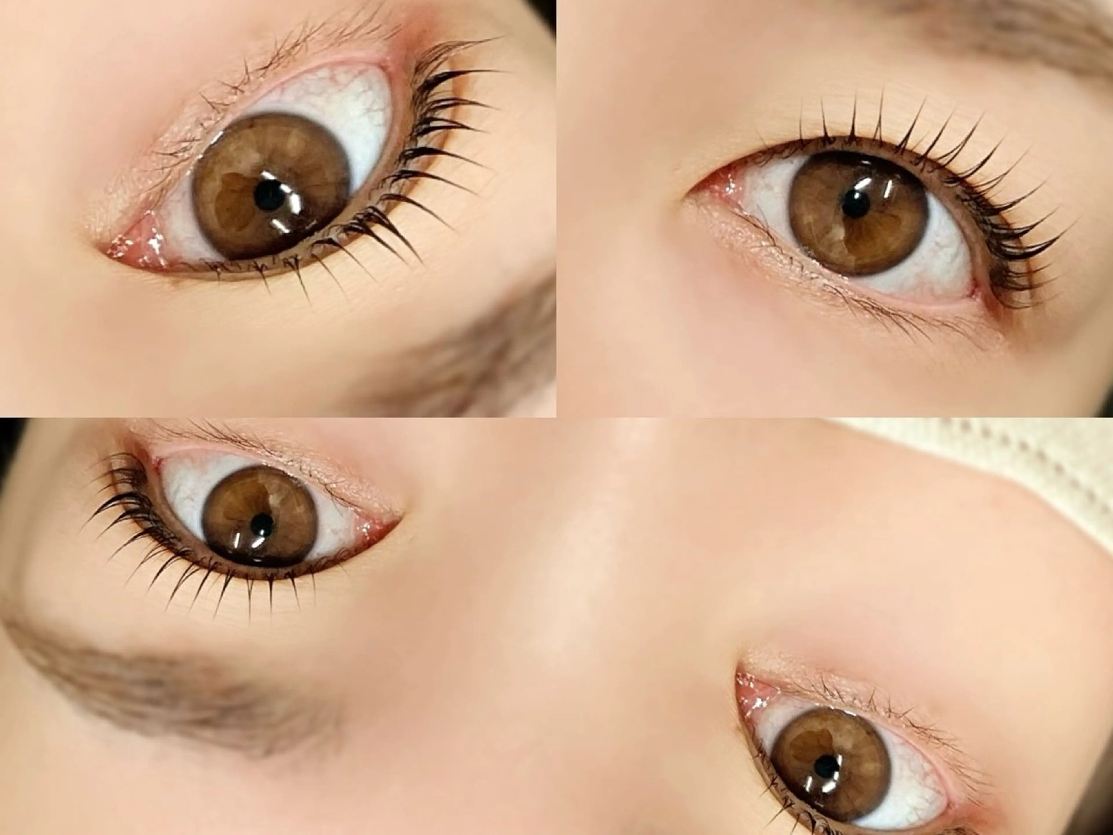 マツエク・マツパ まつげと眉毛のお店Sakura Lash【サクララッシュ】所属・【ダメージケア特化】 🌸 サクララッシュの眉毛・アイブロウイメージ