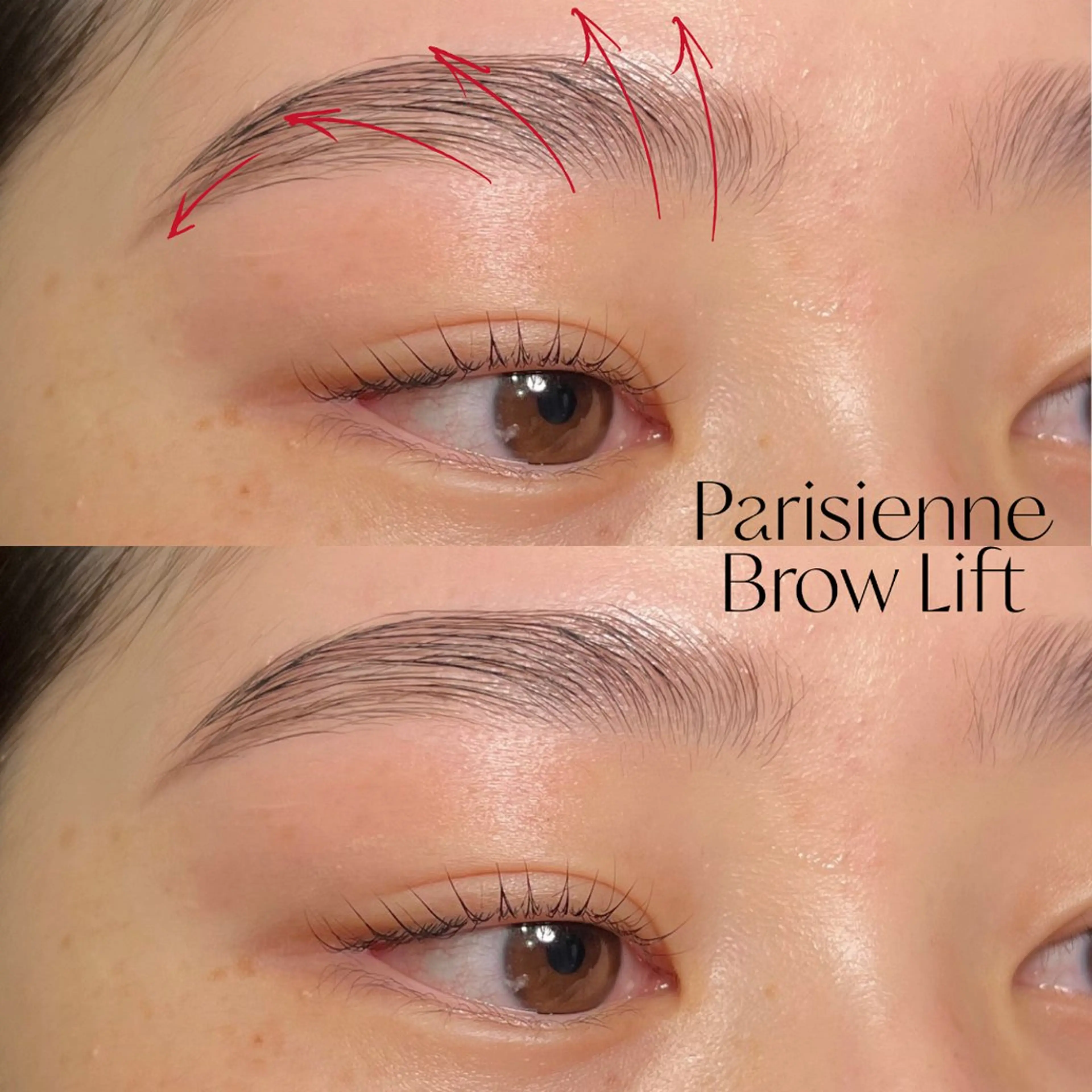 アイブロウ 眉毛ワックス脱毛 ワックス脱毛 眉カット その他(アイブロウ) Cherie Kawaguchiのマツエク・マツパデザイン