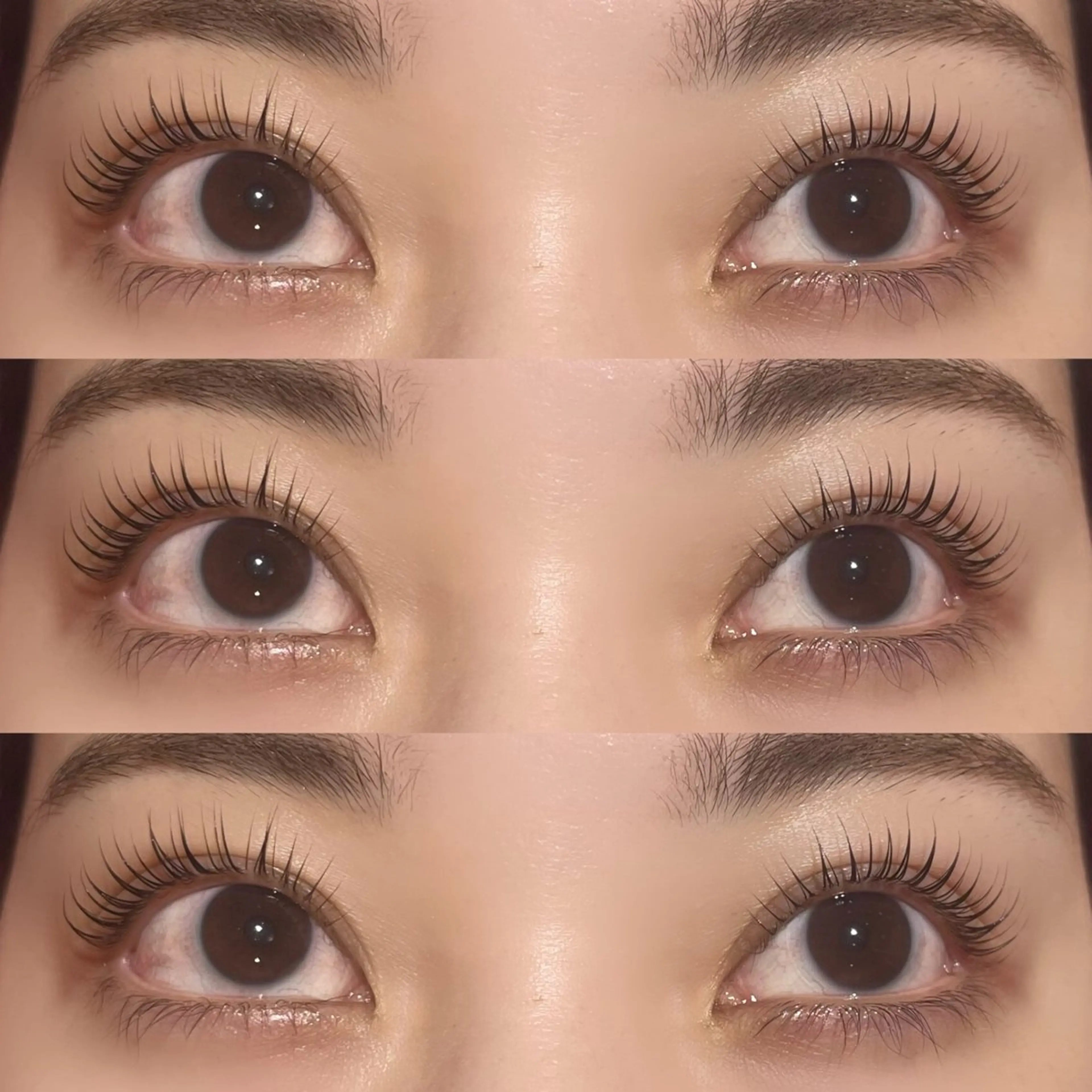 🫧ケラチンラッシュリフト🫧の写真